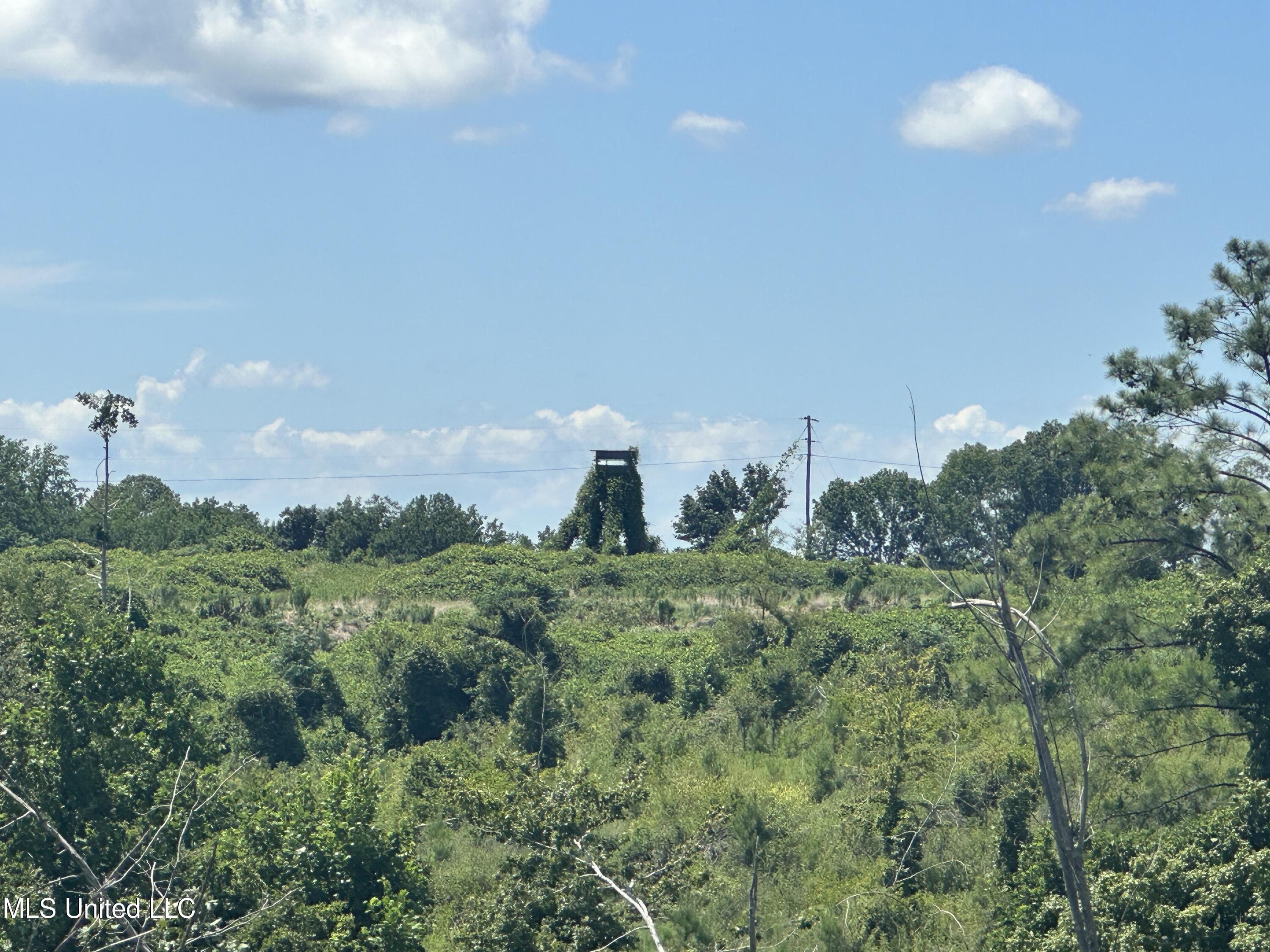 Co Rd 75 Property Photo 2