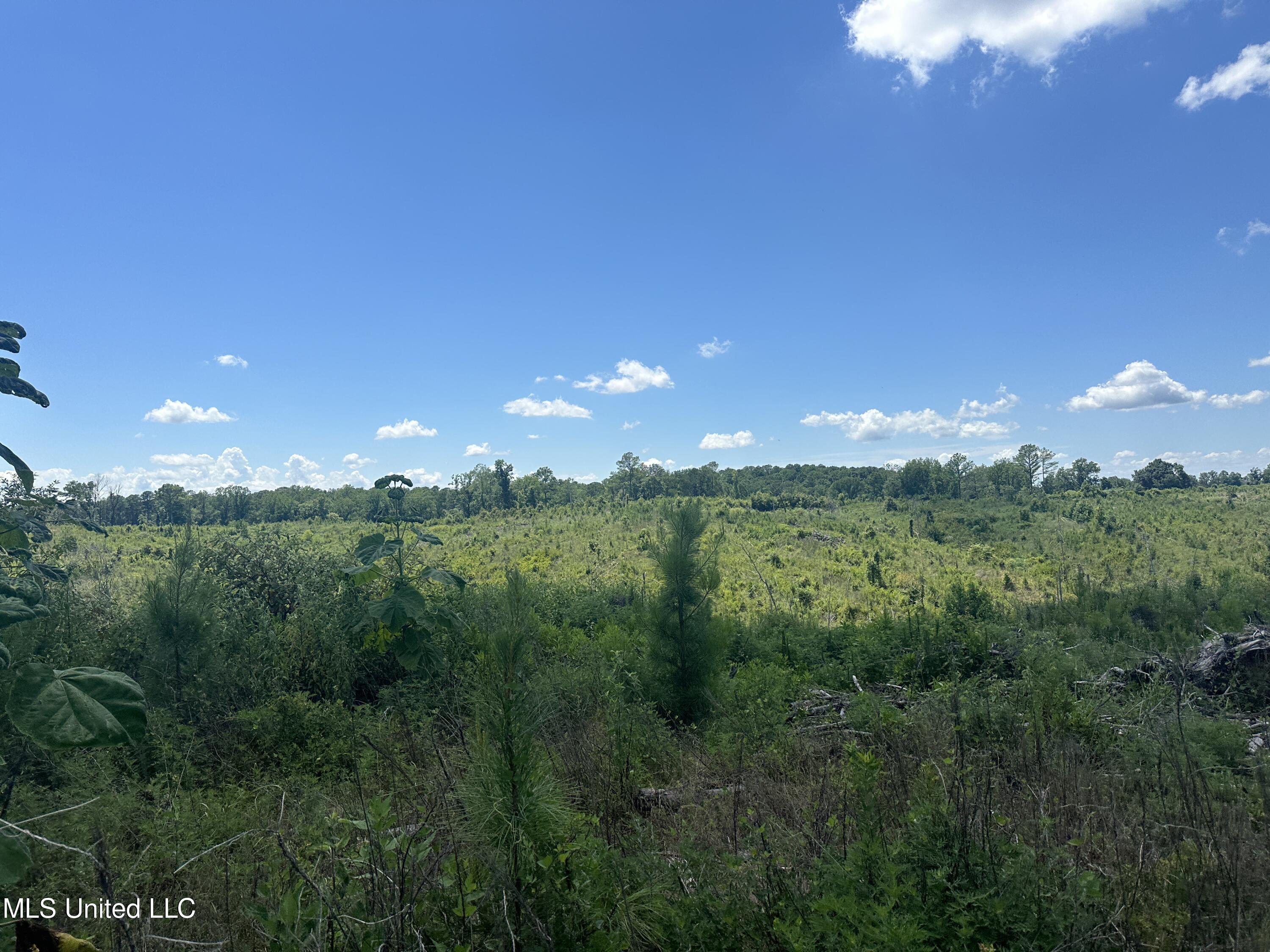 Co Rd 75 Property Photo 4