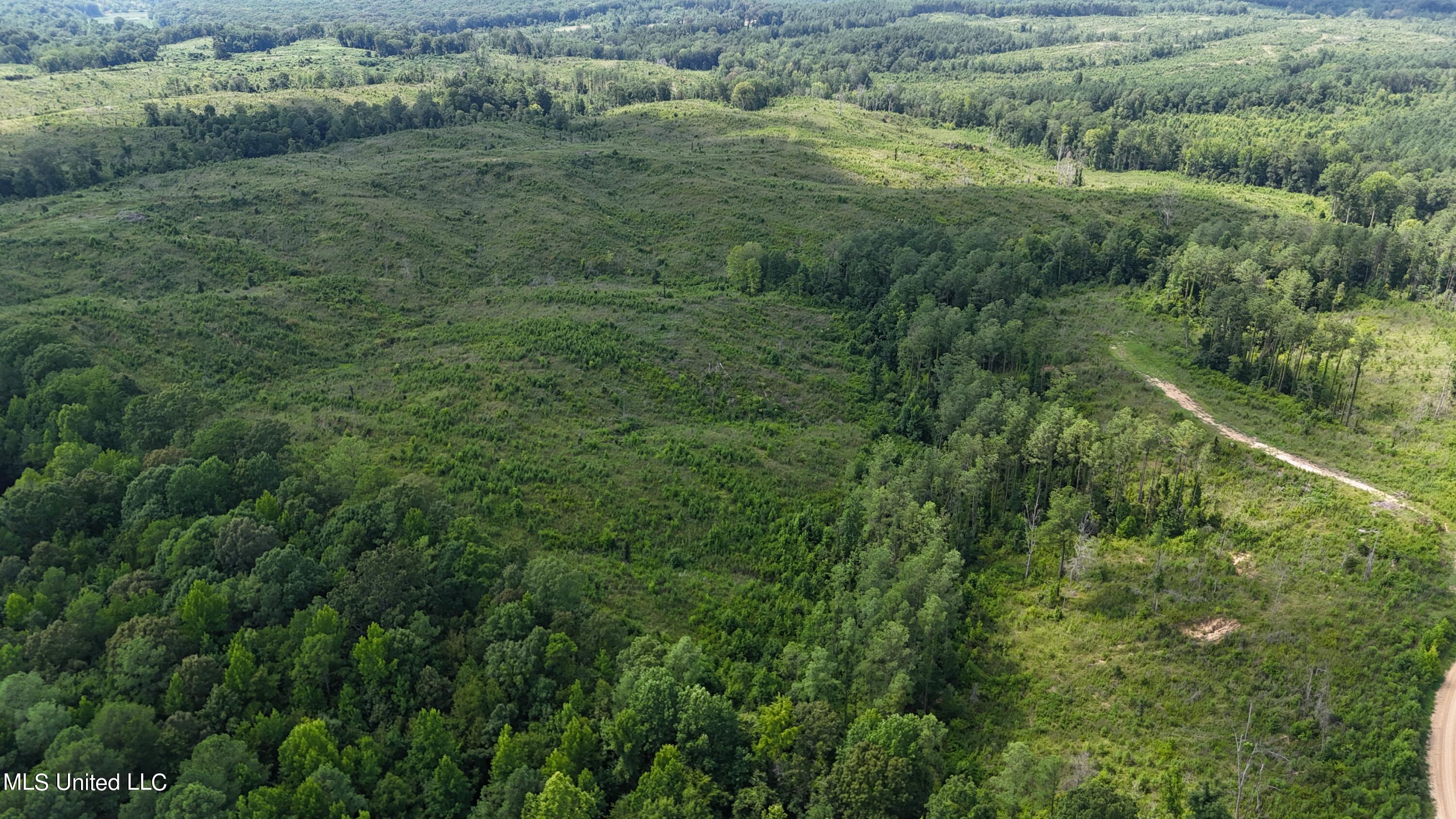 Co Rd 75 Property Photo 9
