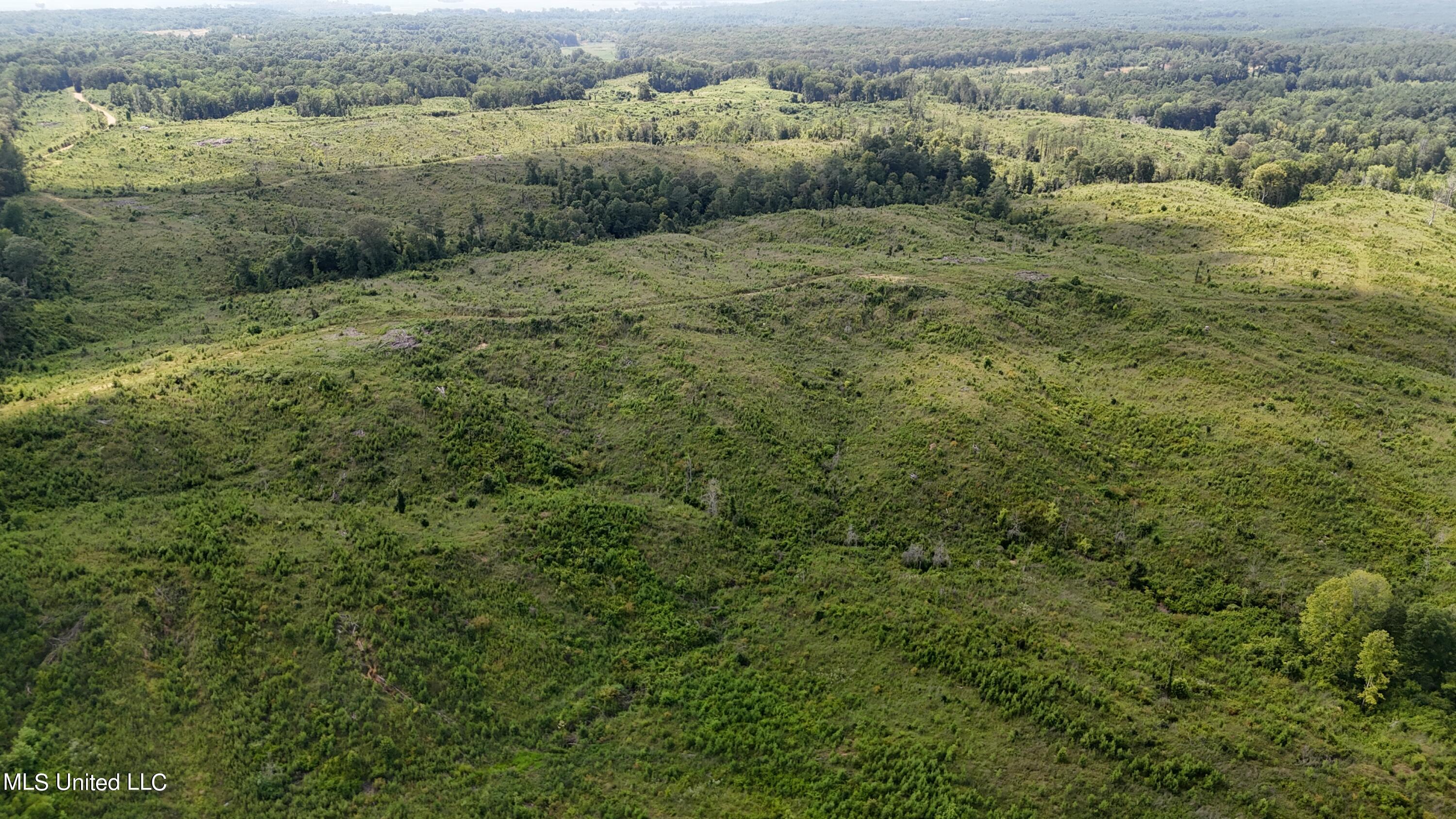 Co Rd 75 Property Photo 10
