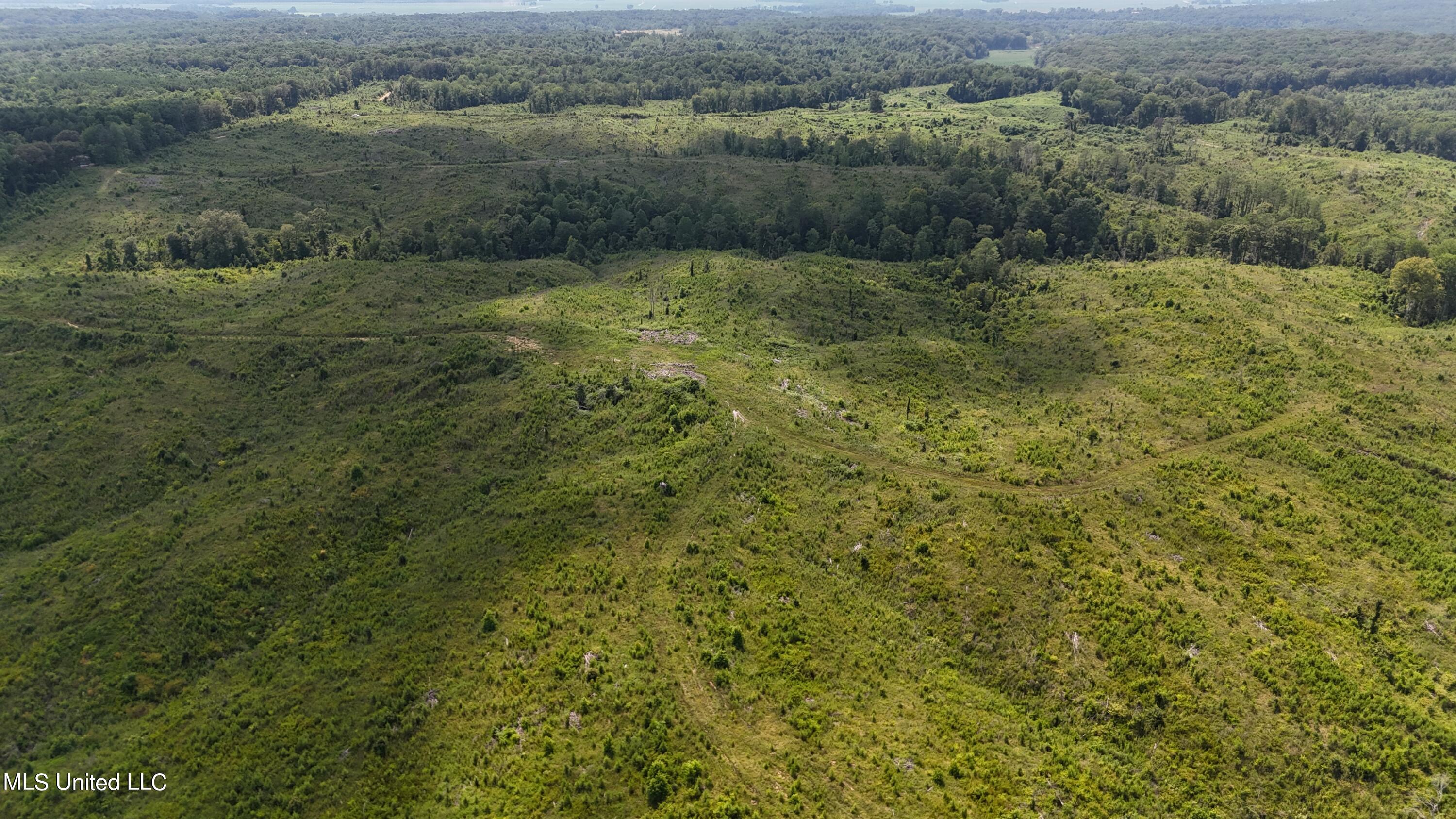 Co Rd 75 Property Photo 11