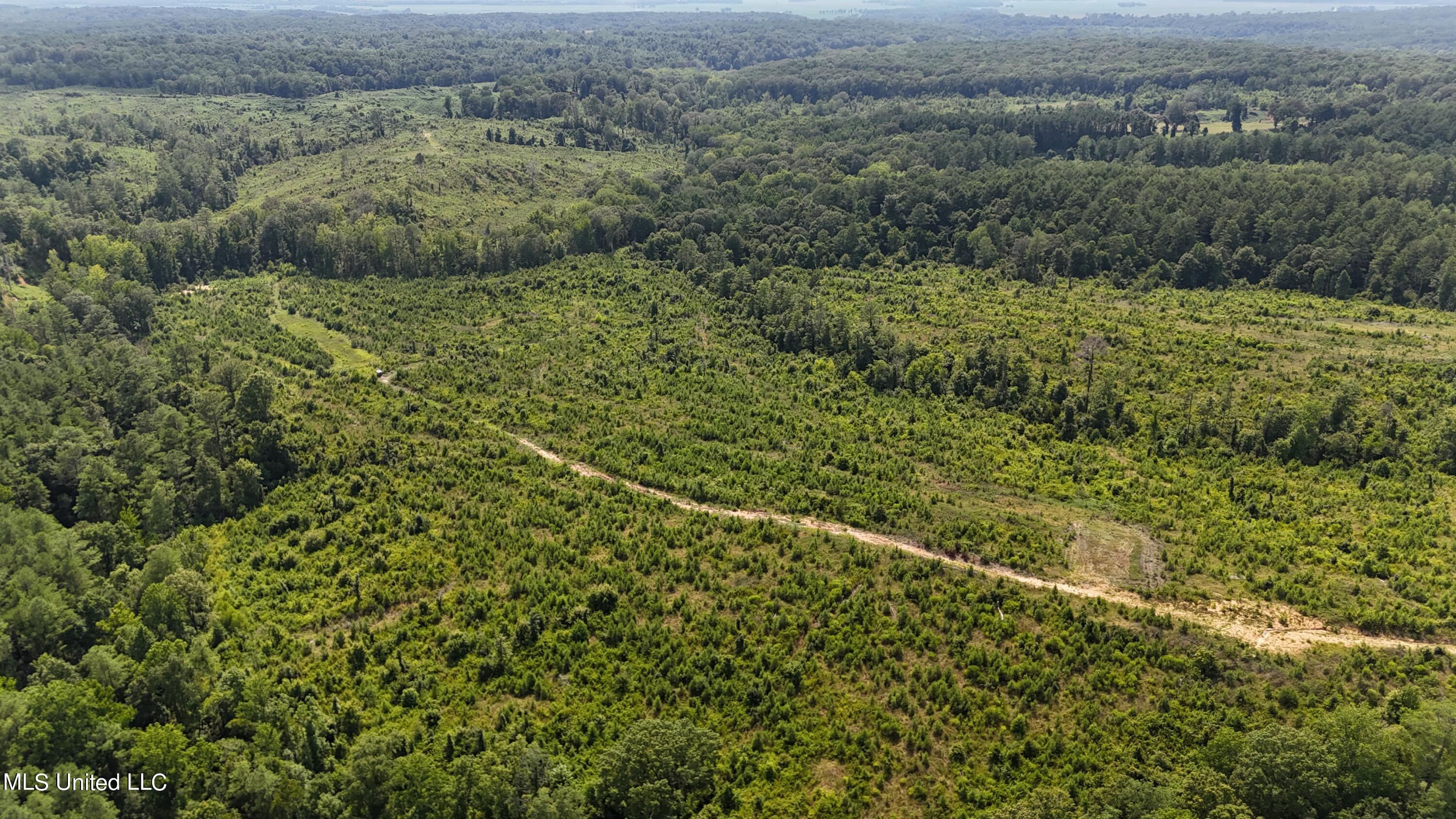 Co Rd 75 Property Photo 13