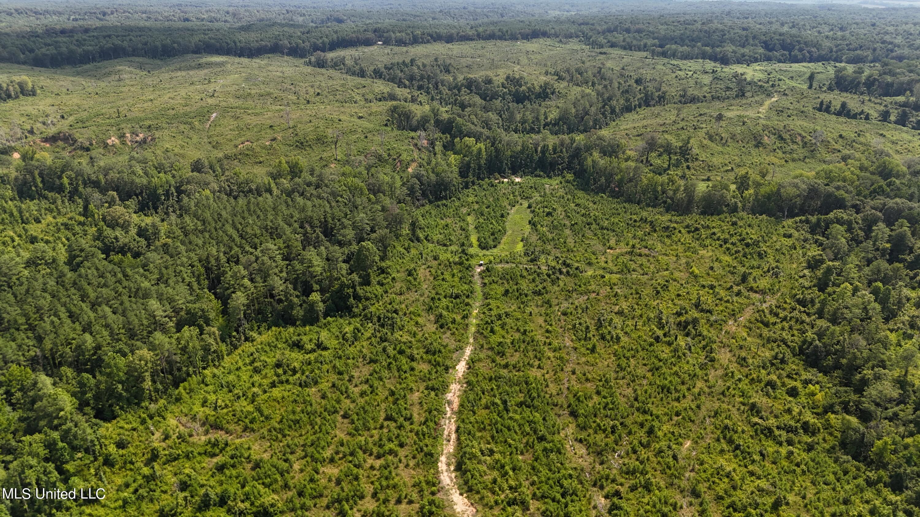 Co Rd 75 Property Photo 14