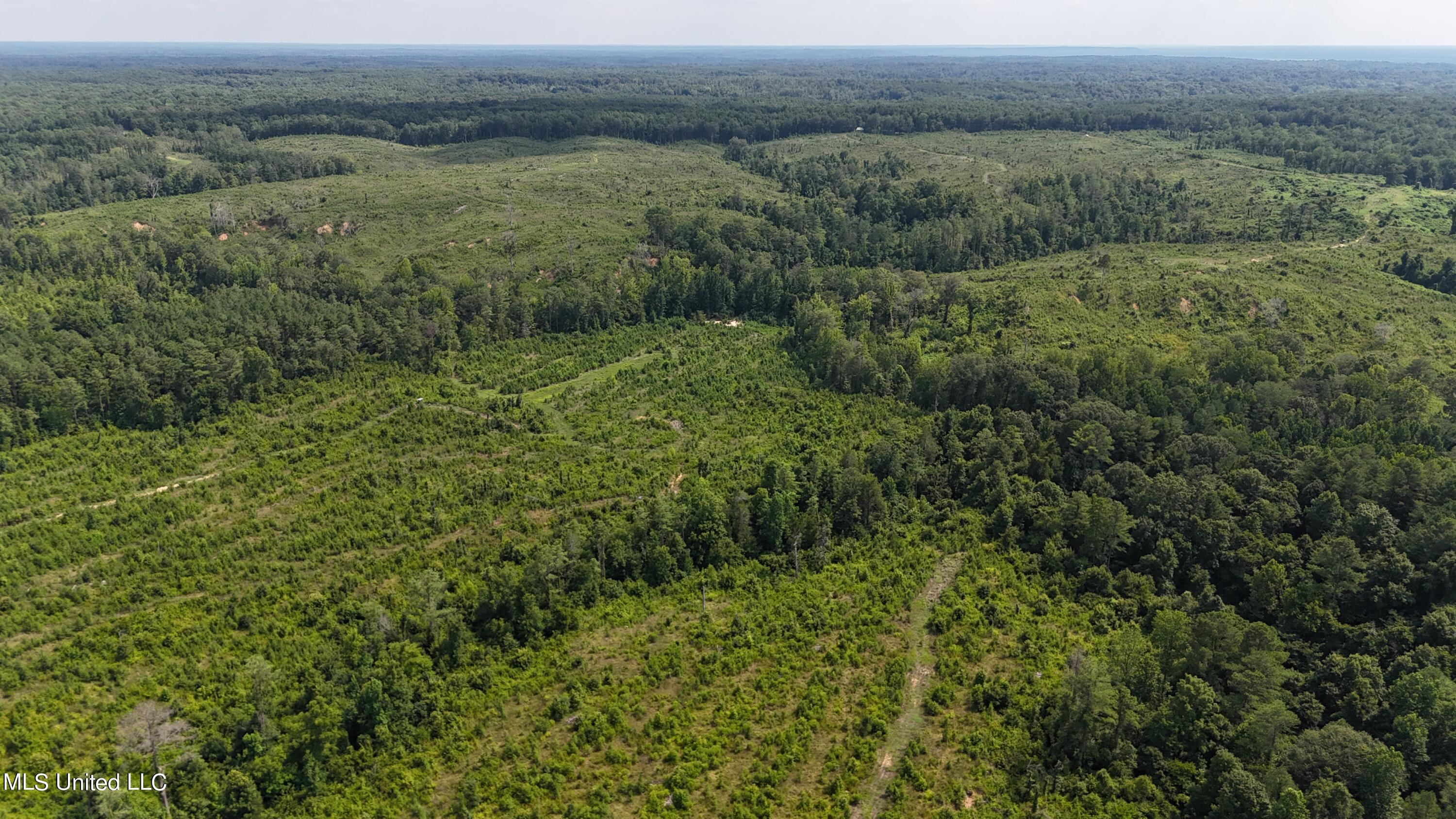 Co Rd 75 Property Photo 15