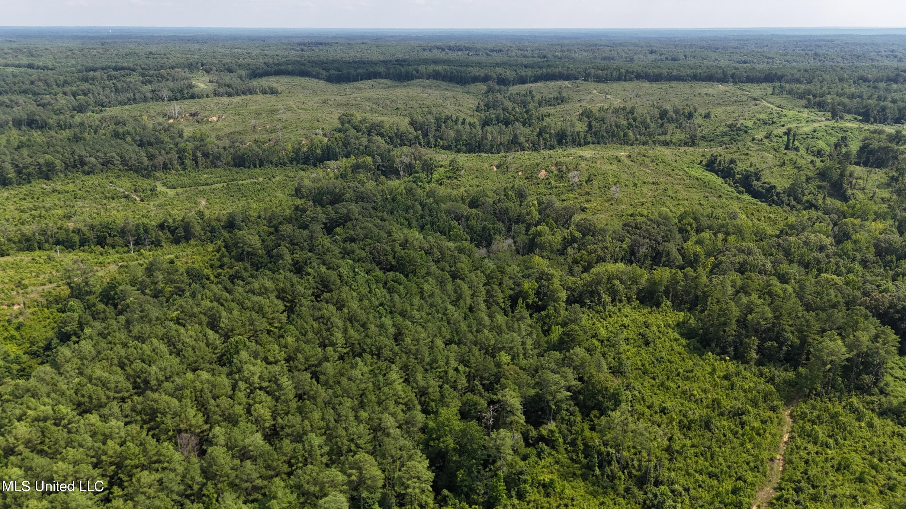 Co Rd 75 Property Photo 16