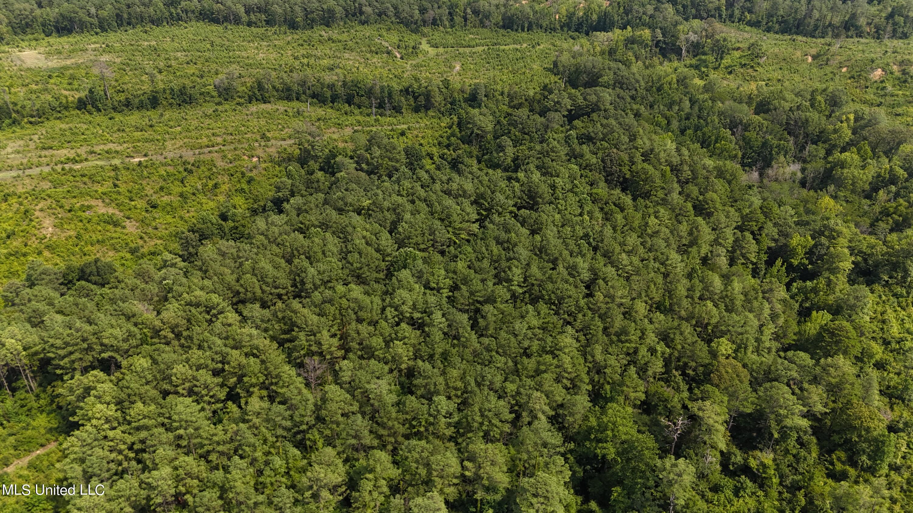 Co Rd 75 Property Photo 17