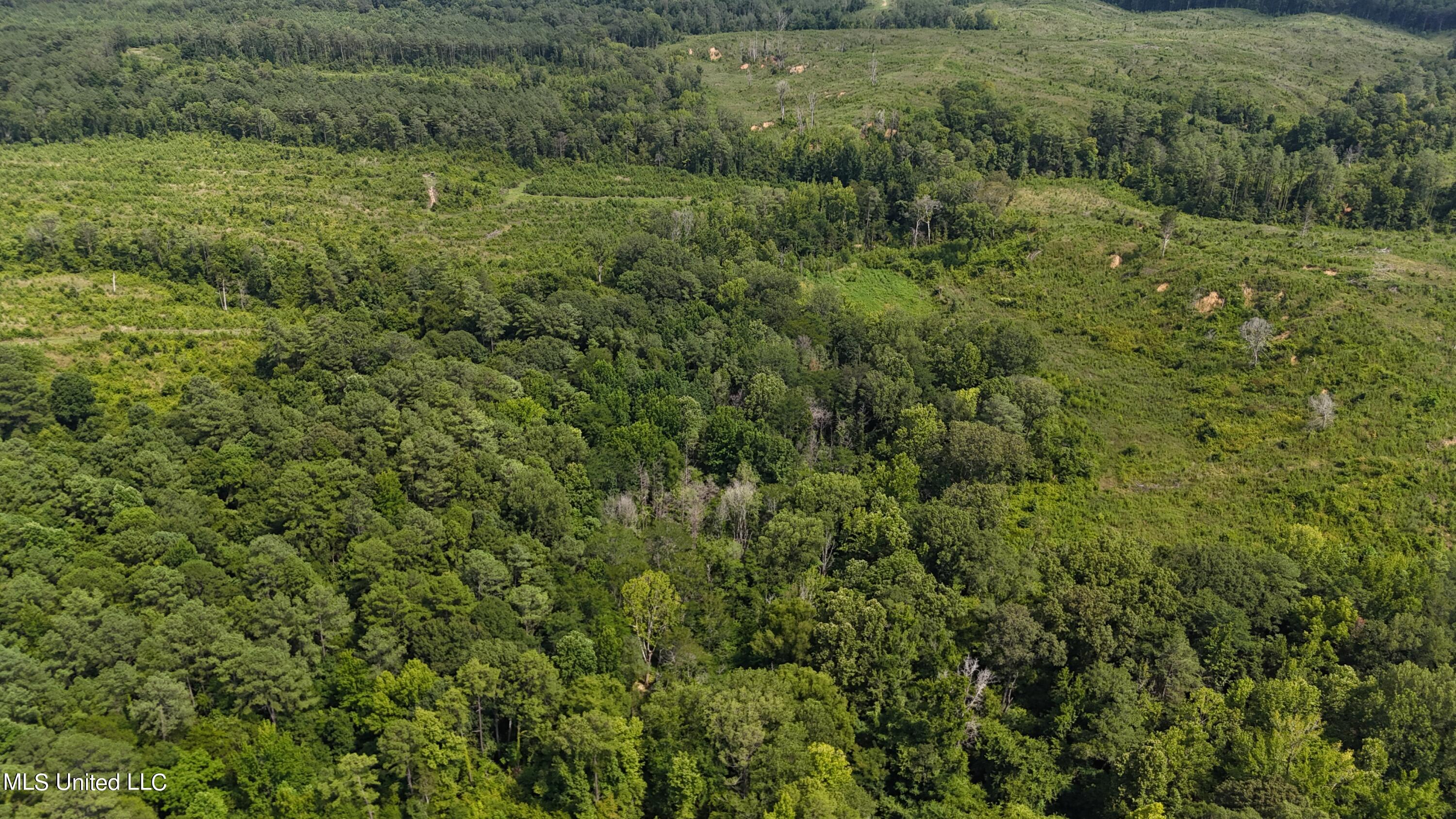 Co Rd 75 Property Photo 18