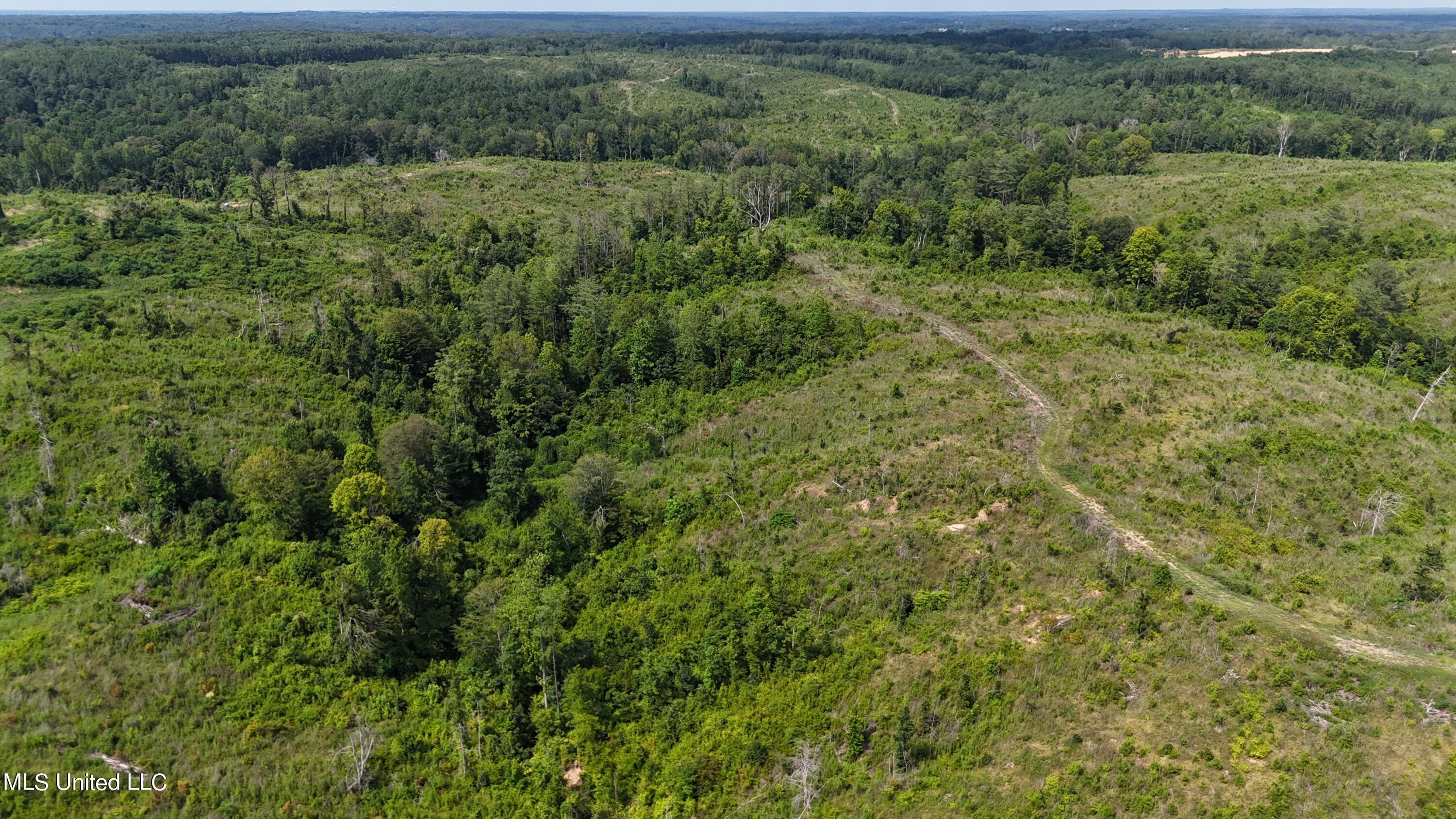 Co Rd 75 Property Photo 25
