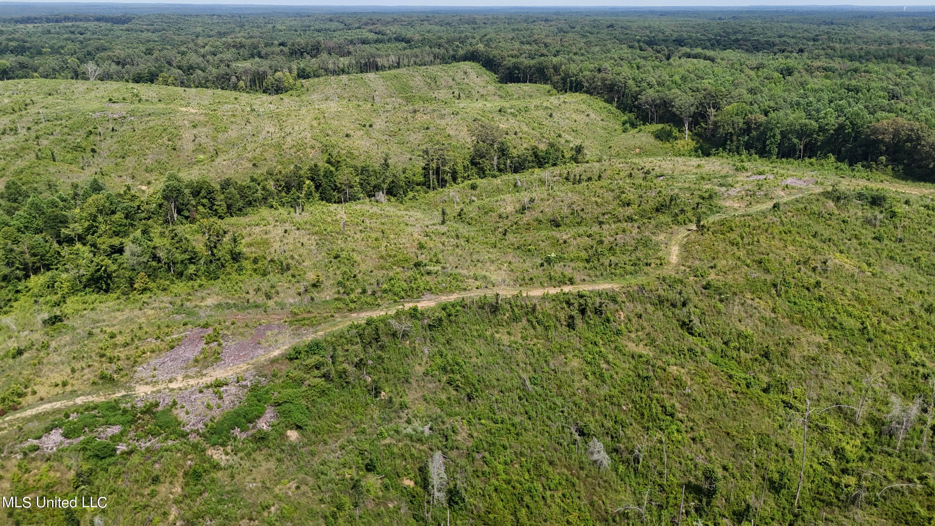 Co Rd 75 Property Photo 26