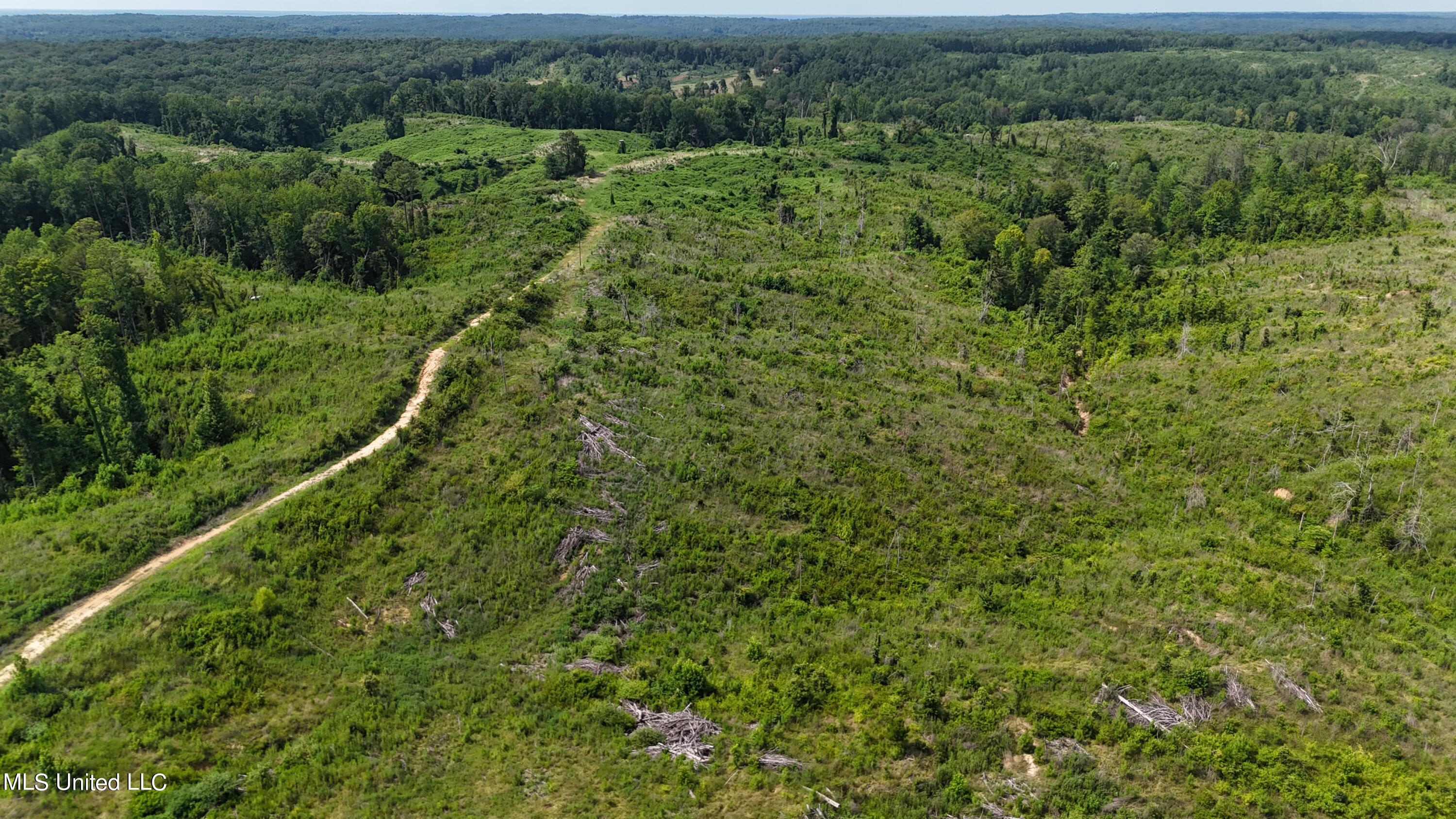 Co Rd 75 Property Photo 29