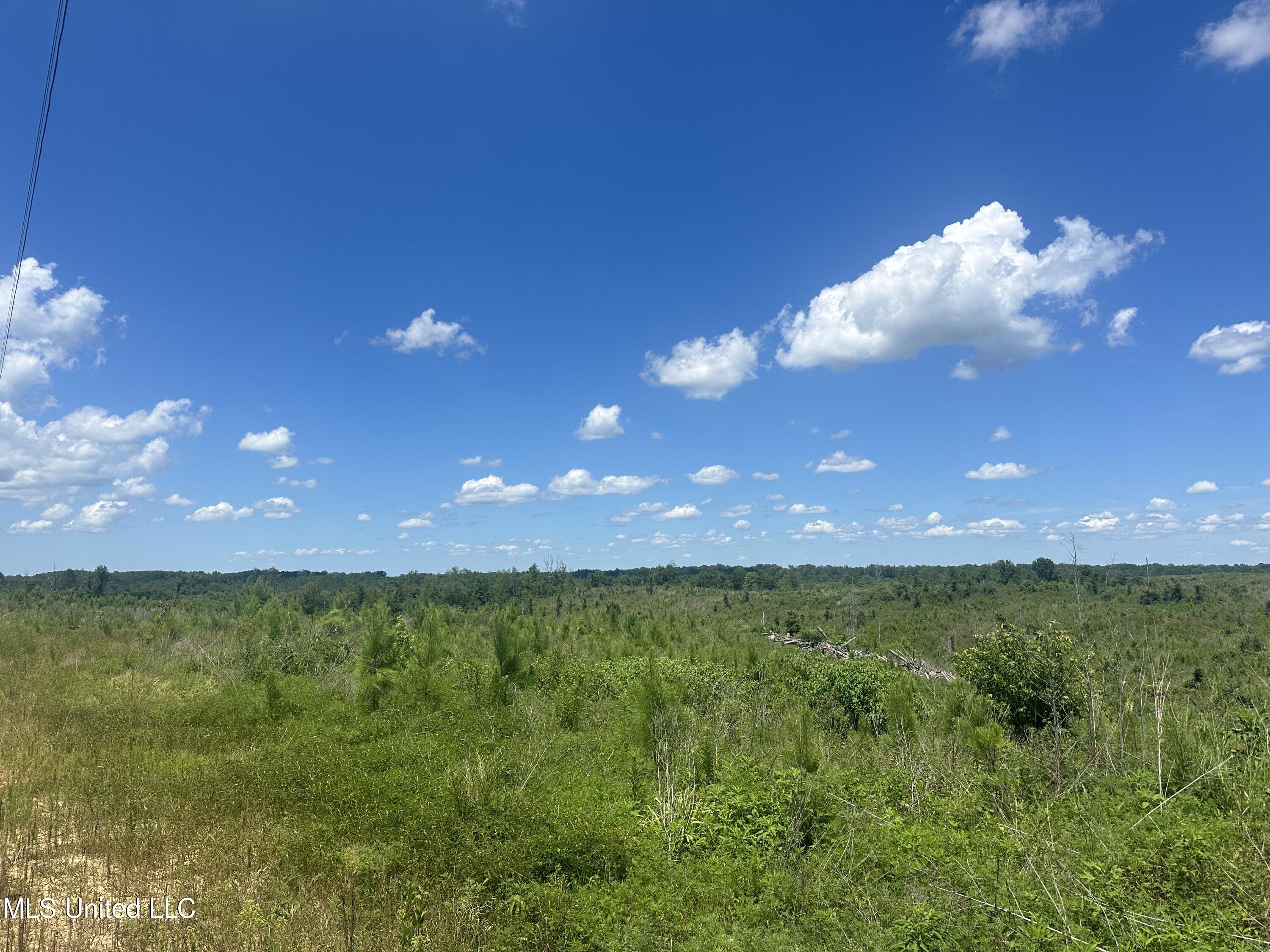 Co Rd 75 Property Photo 30