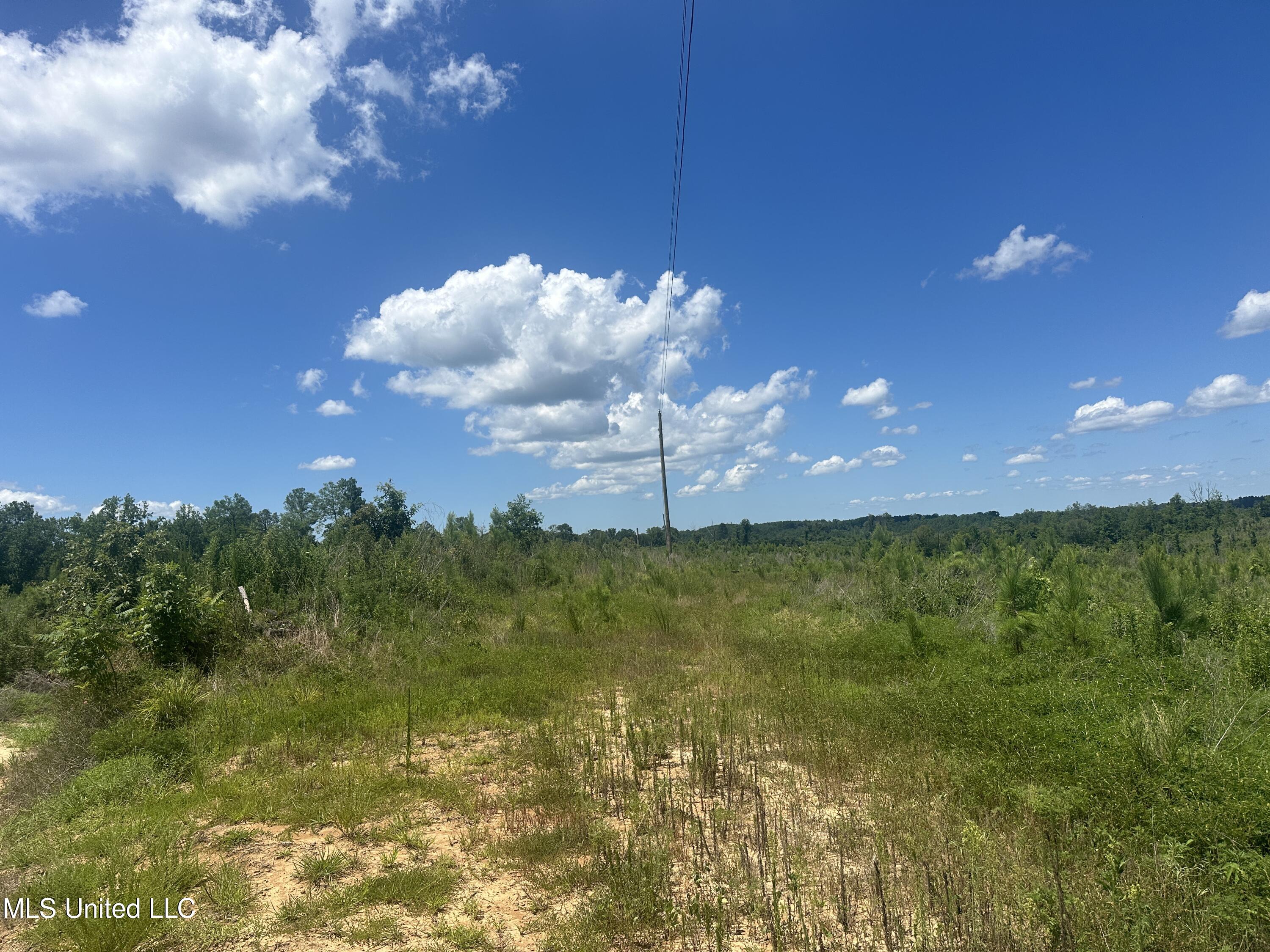 Co Rd 75 Property Photo 31