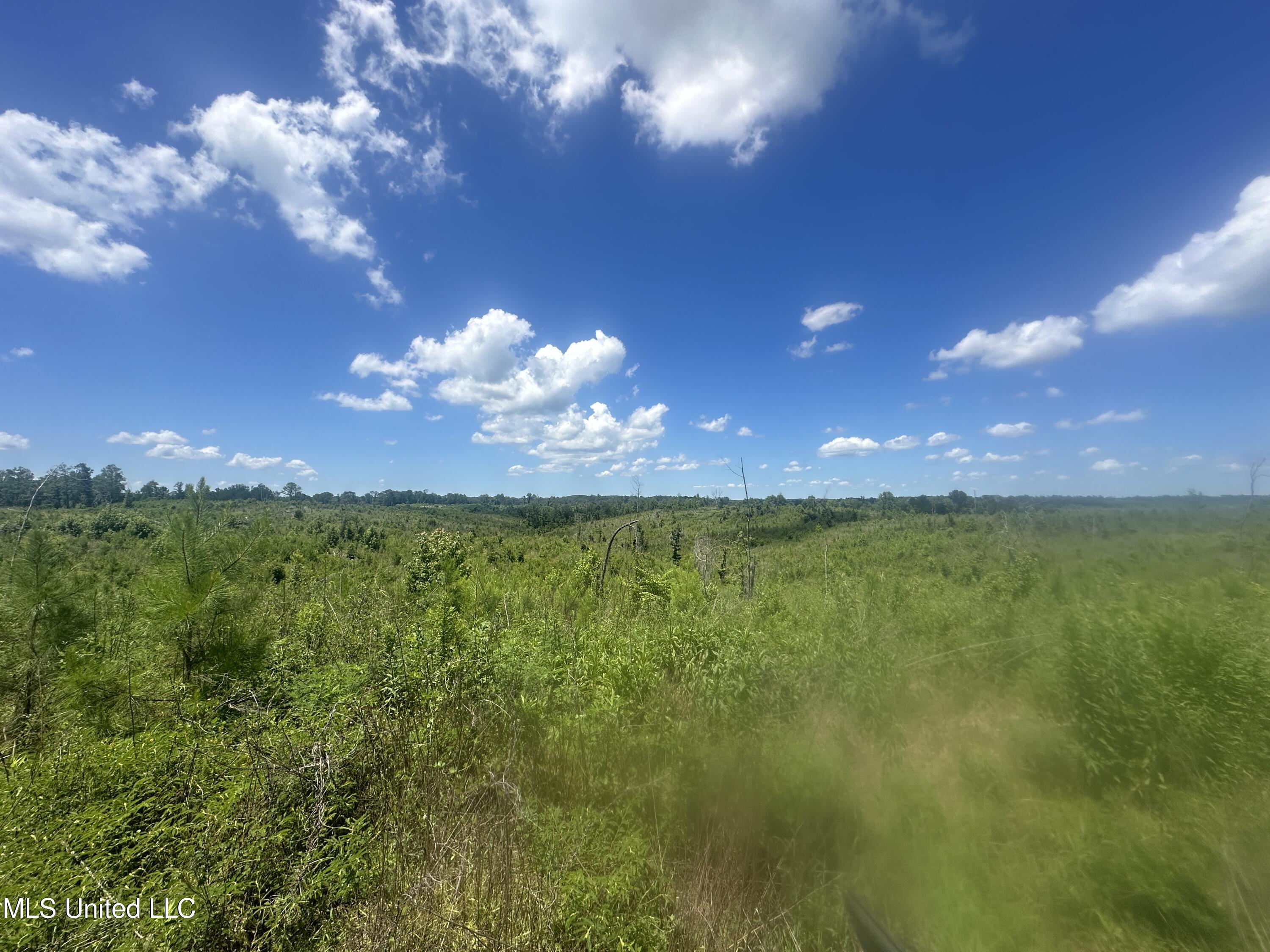 Co Rd 75 Property Photo 32