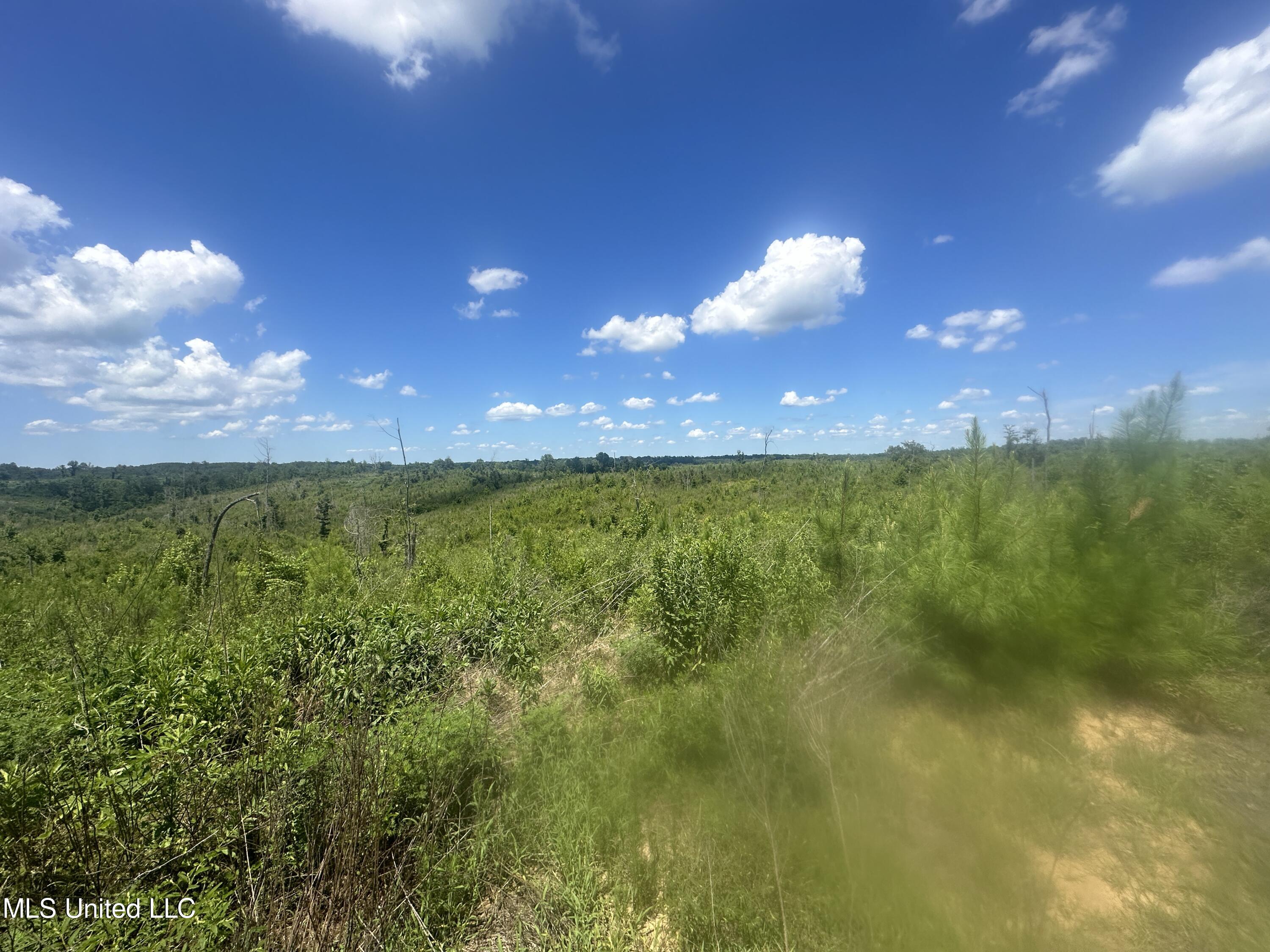 Co Rd 75 Property Photo 33