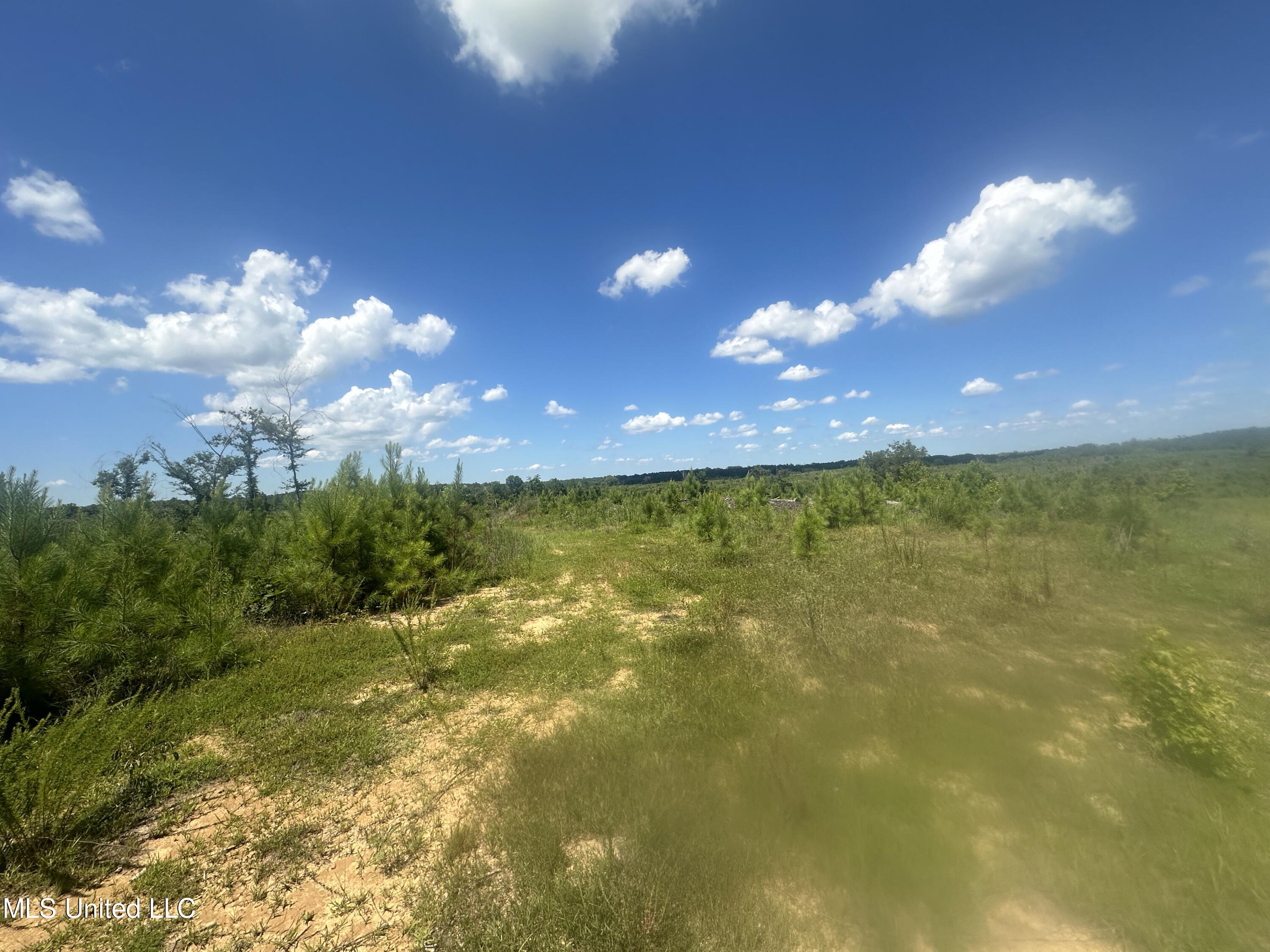 Co Rd 75 Property Photo 35