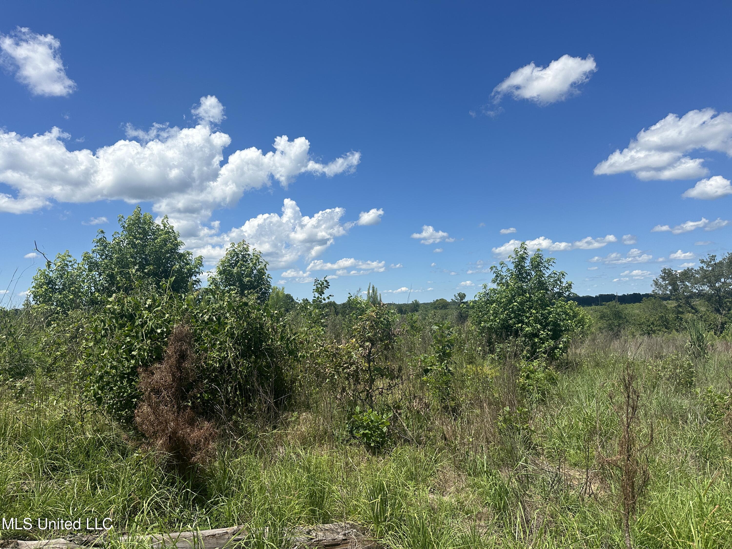 Co Rd 75 Property Photo 38