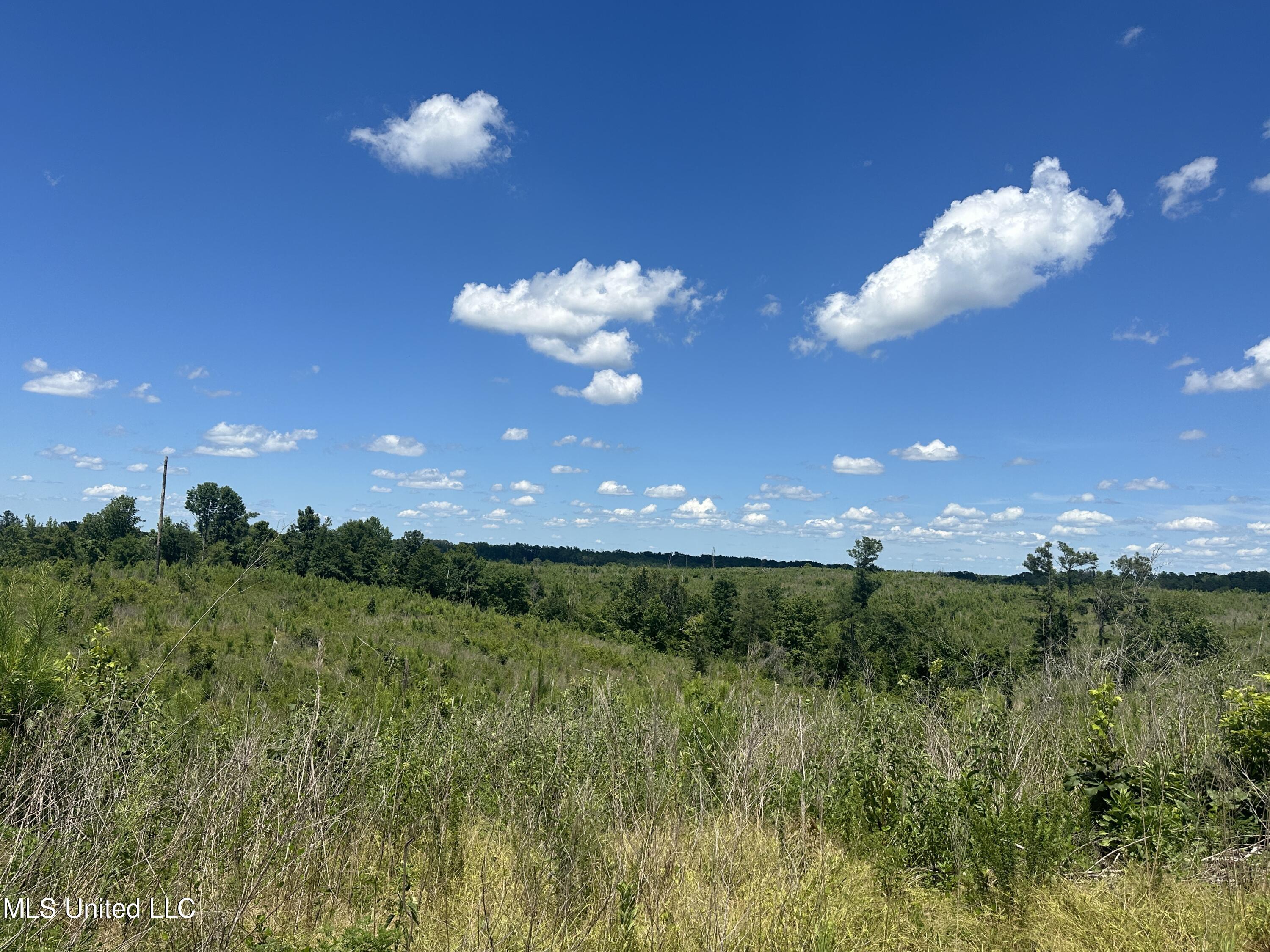 Co Rd 75 Property Photo 39