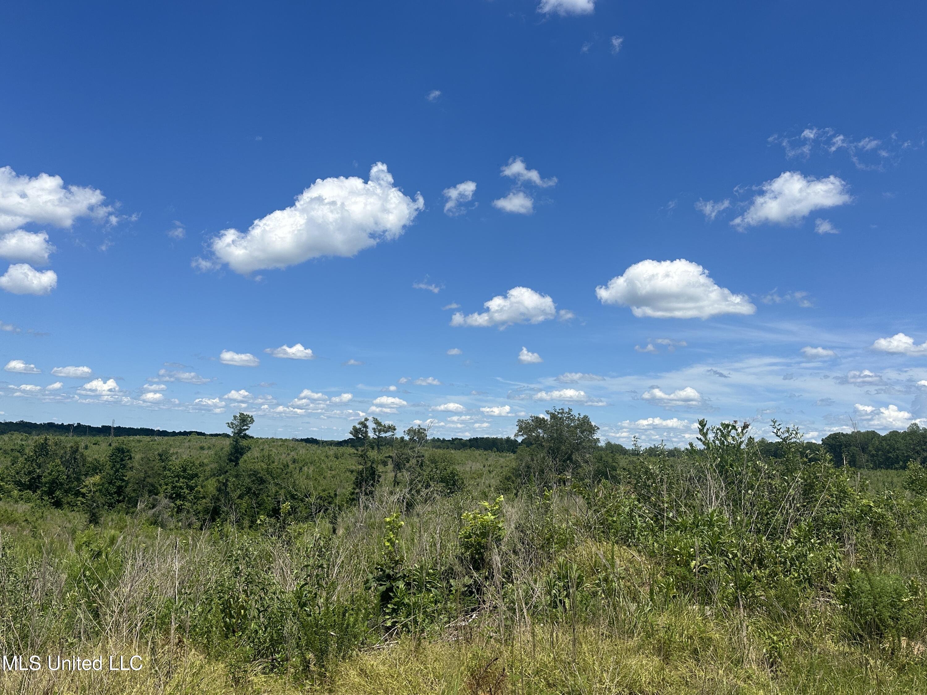Co Rd 75 Property Photo 40
