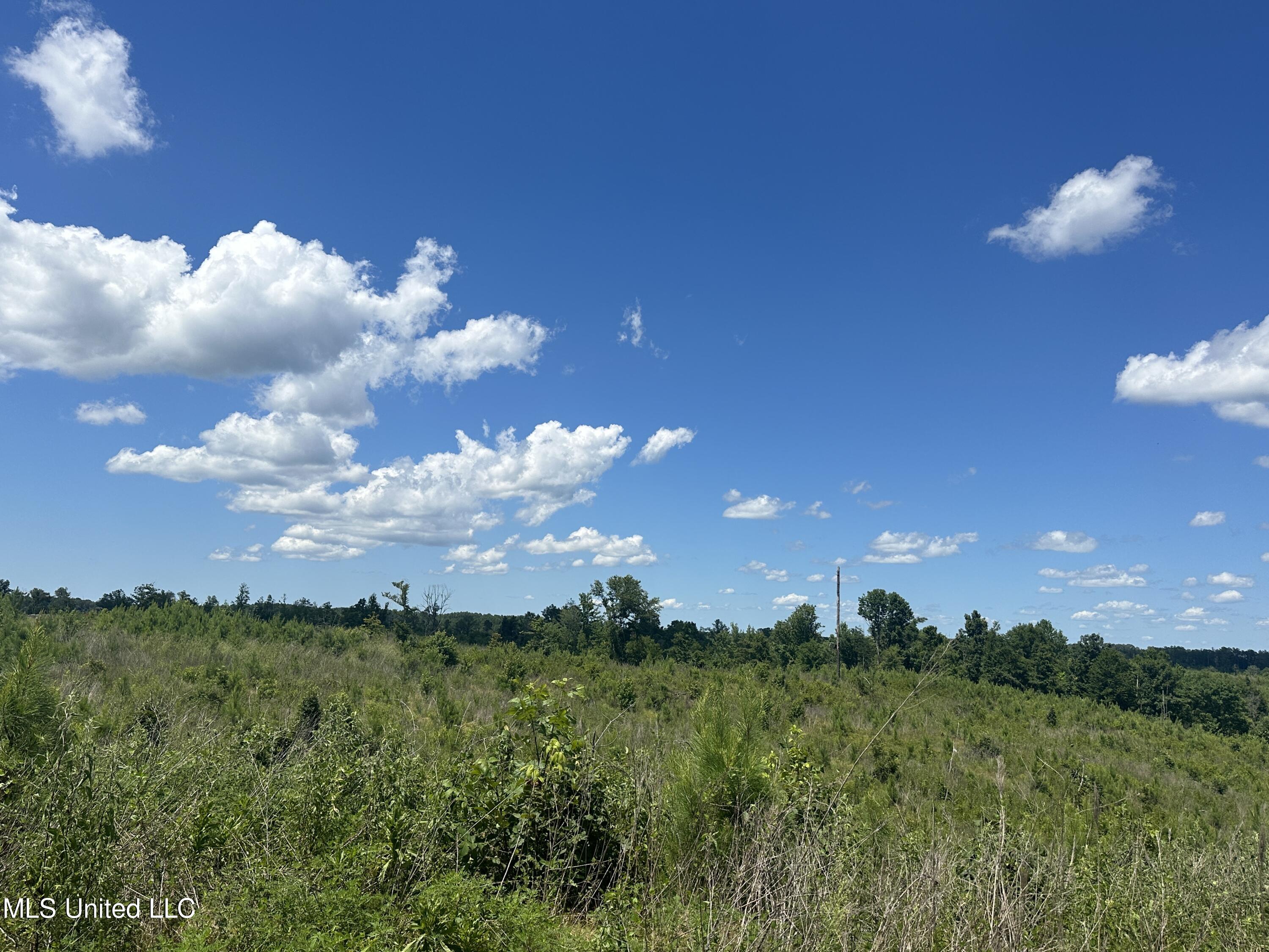 Co Rd 75 Property Photo 41