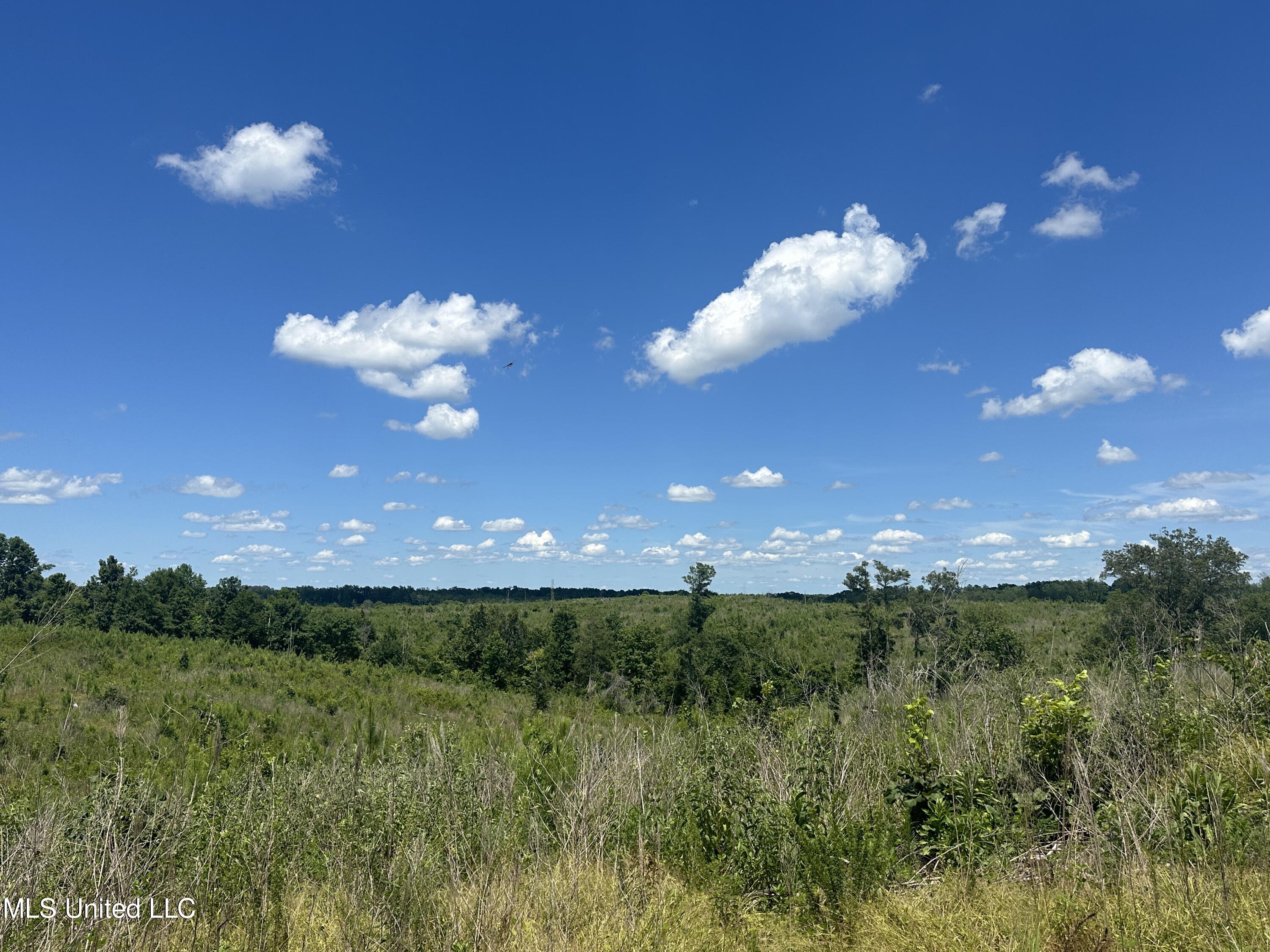 Co Rd 75 Property Photo 42