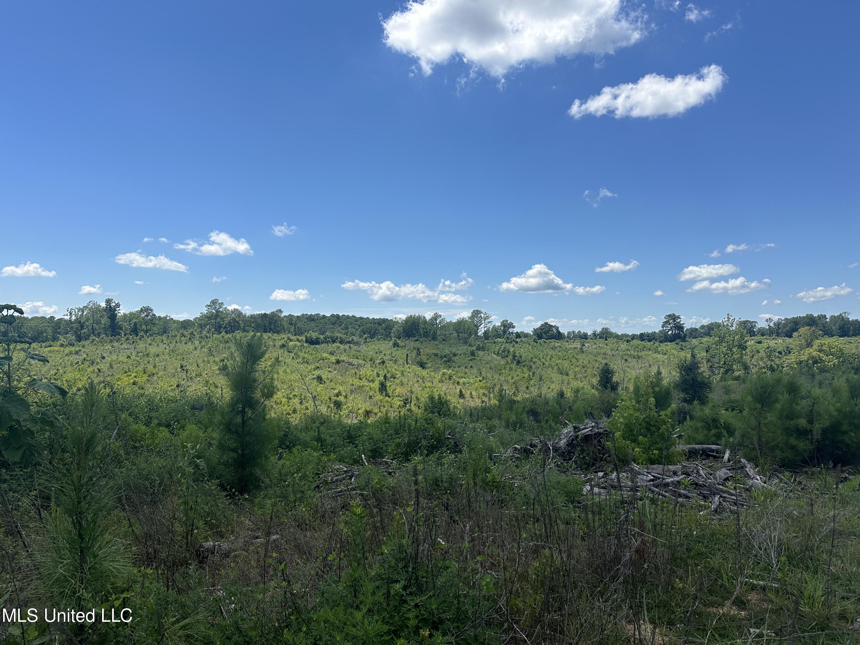 Co Rd 75 Property Photo 43