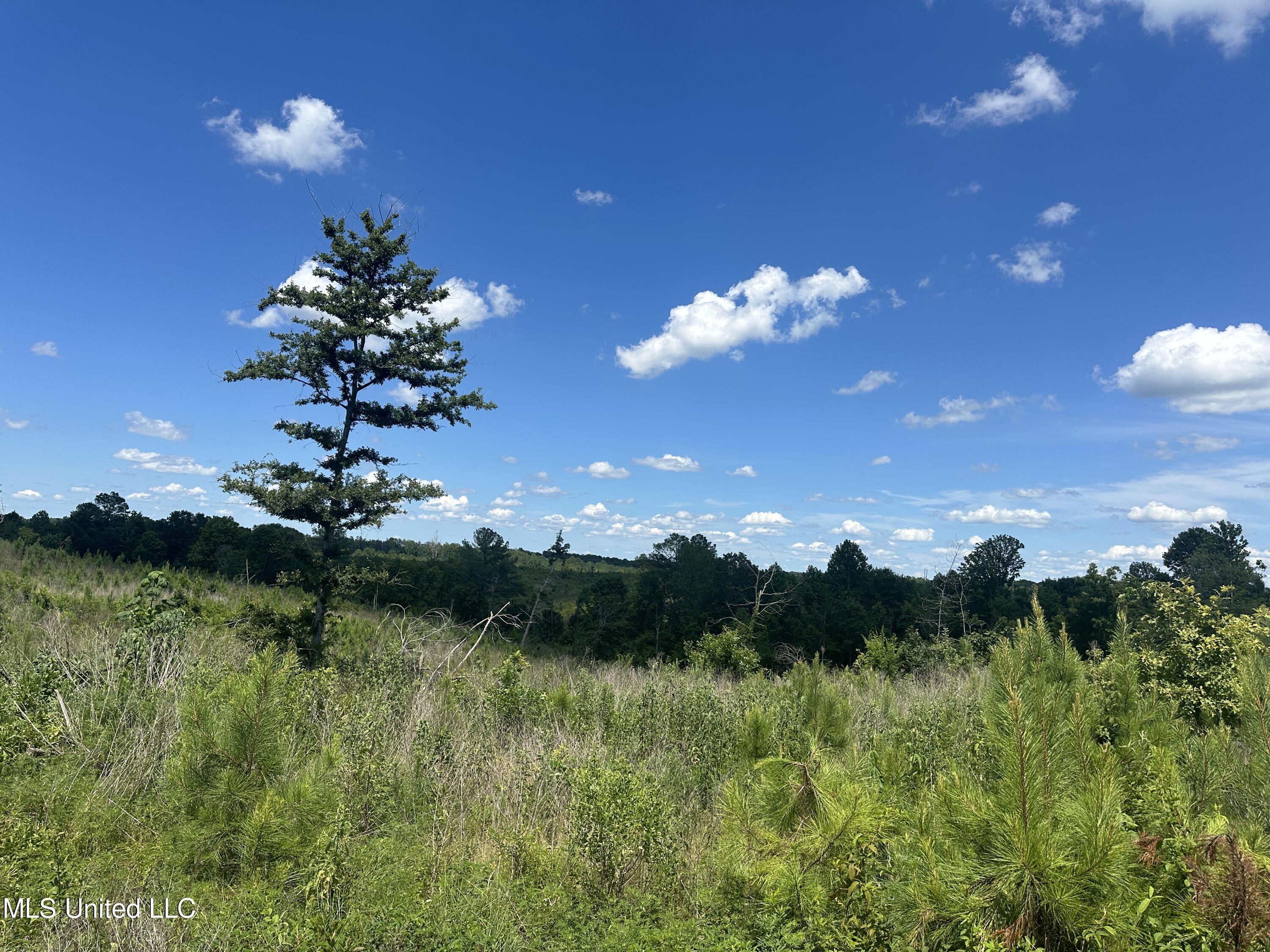 Co Rd 75 Property Photo 44