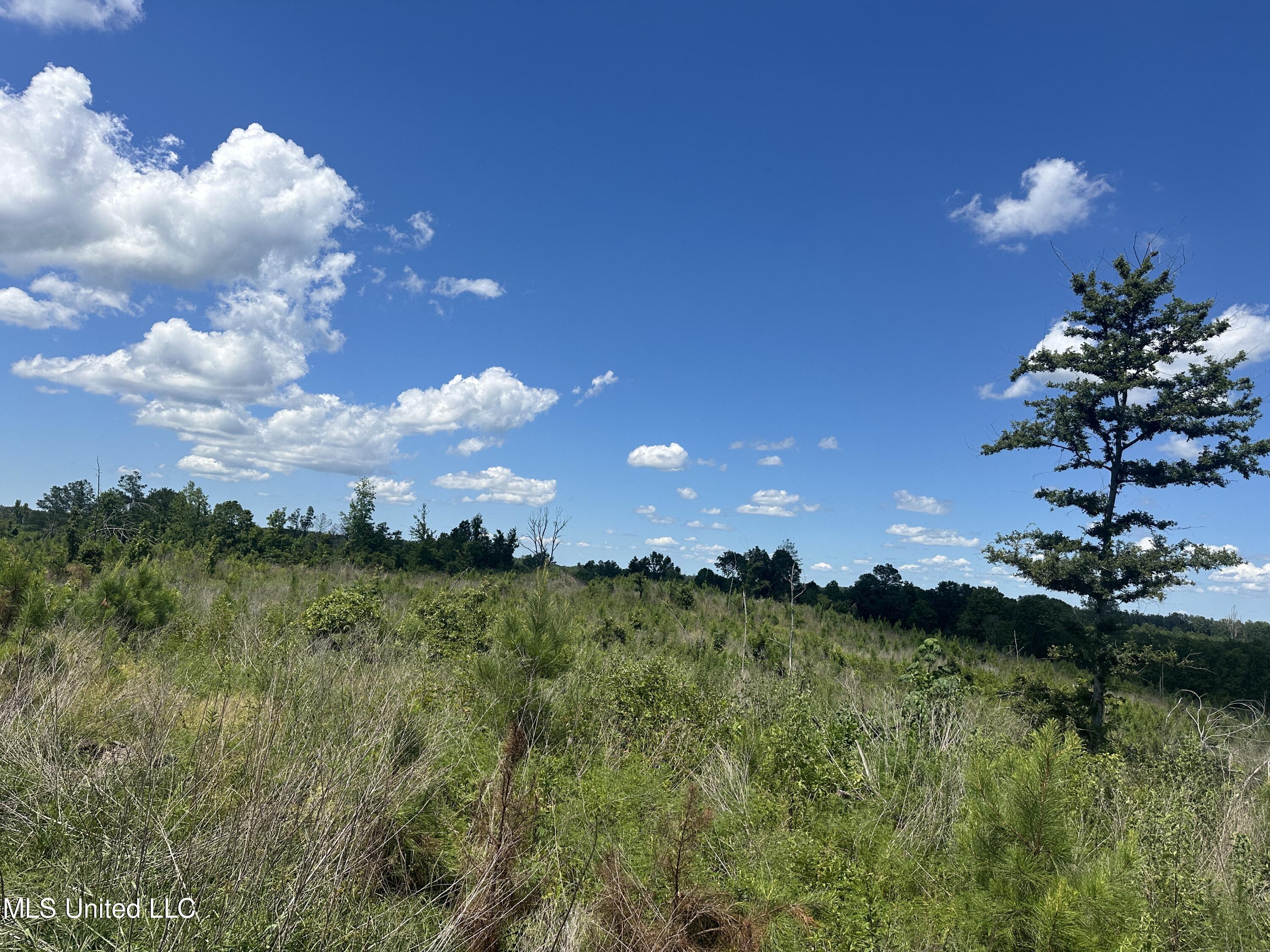 Co Rd 75 Property Photo 45