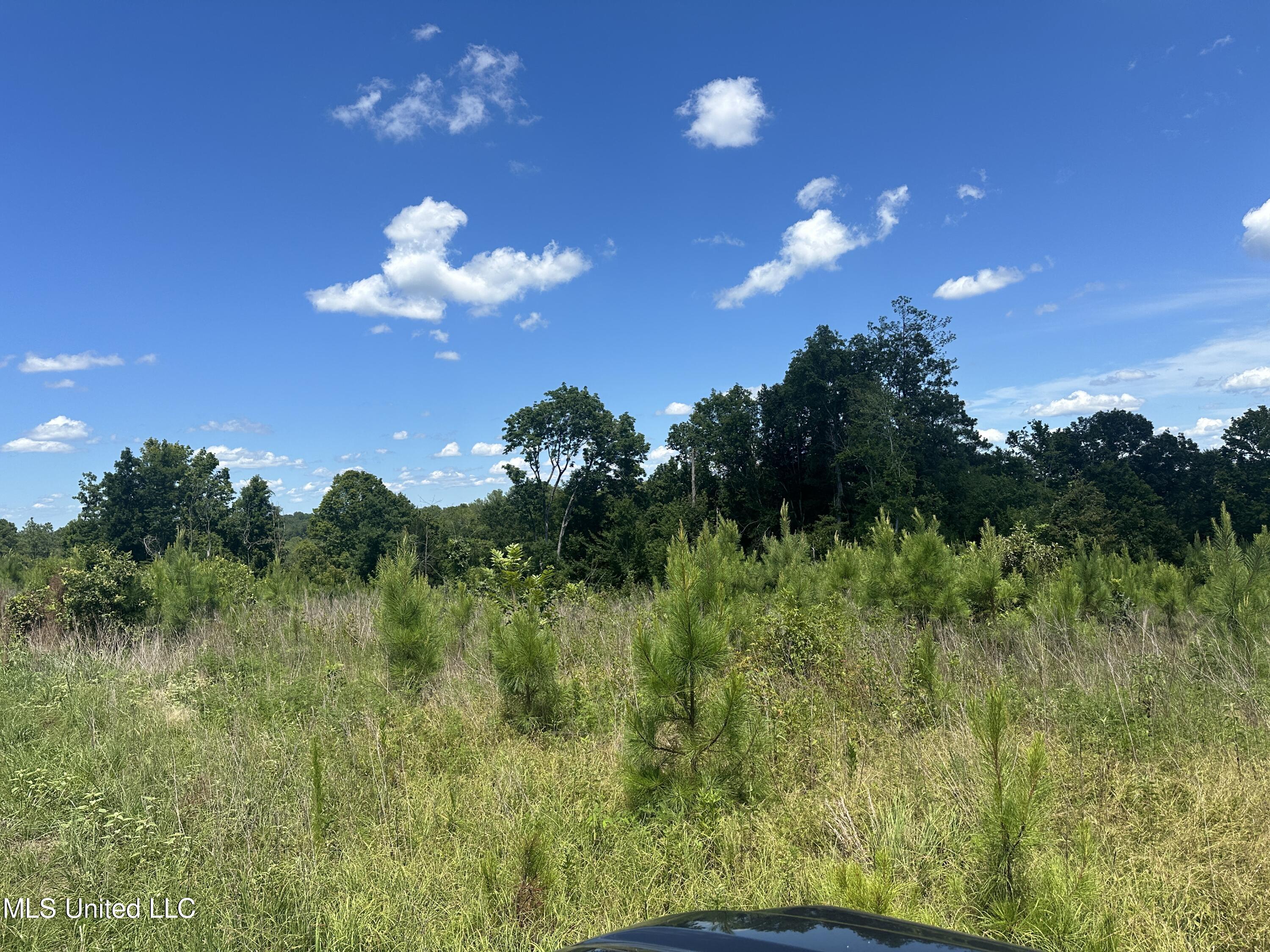 Co Rd 75 Property Photo 48