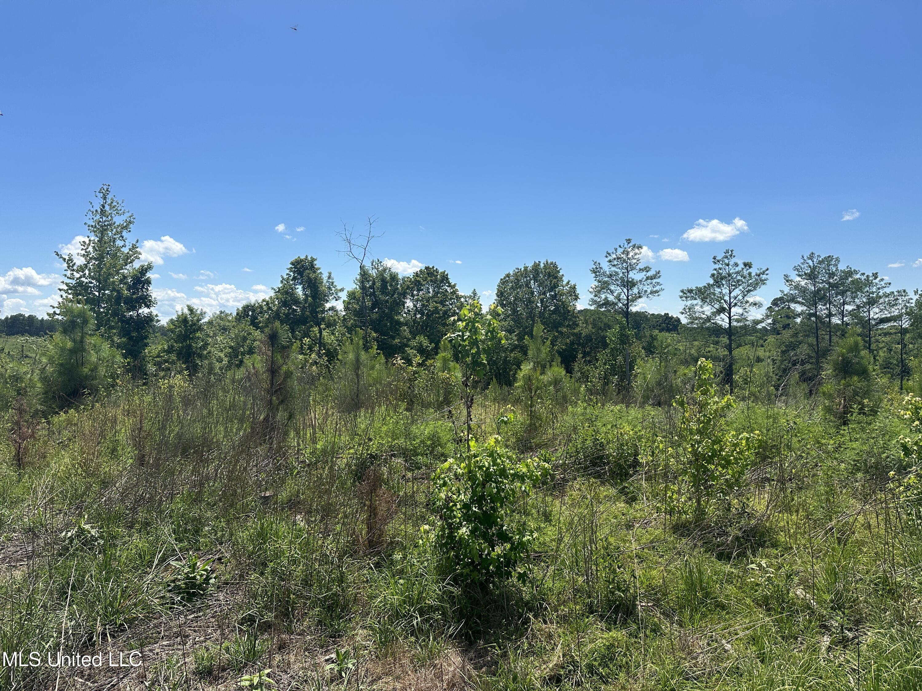 Co Rd 75 Property Photo 50