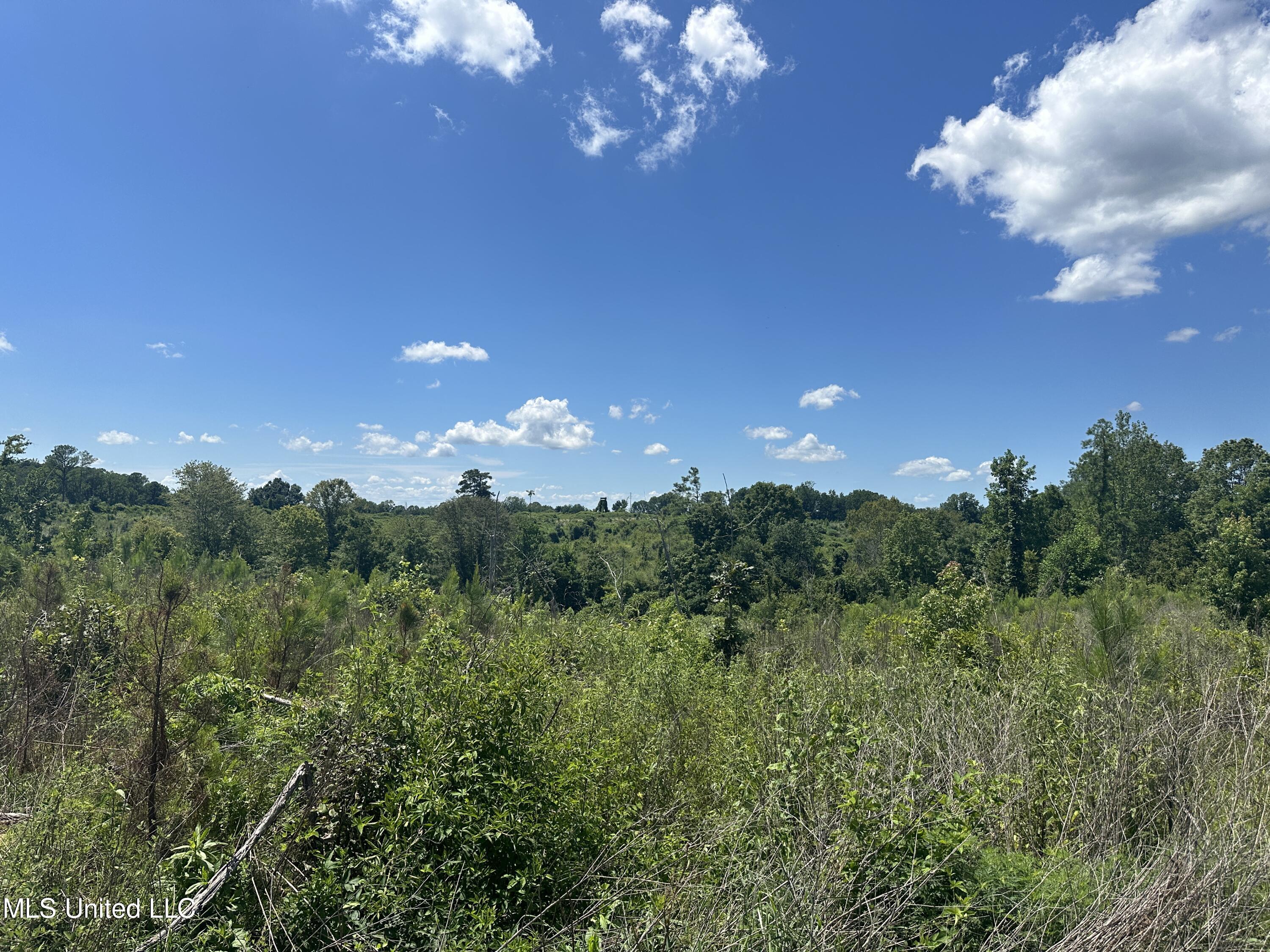 Co Rd 75 Property Photo 51