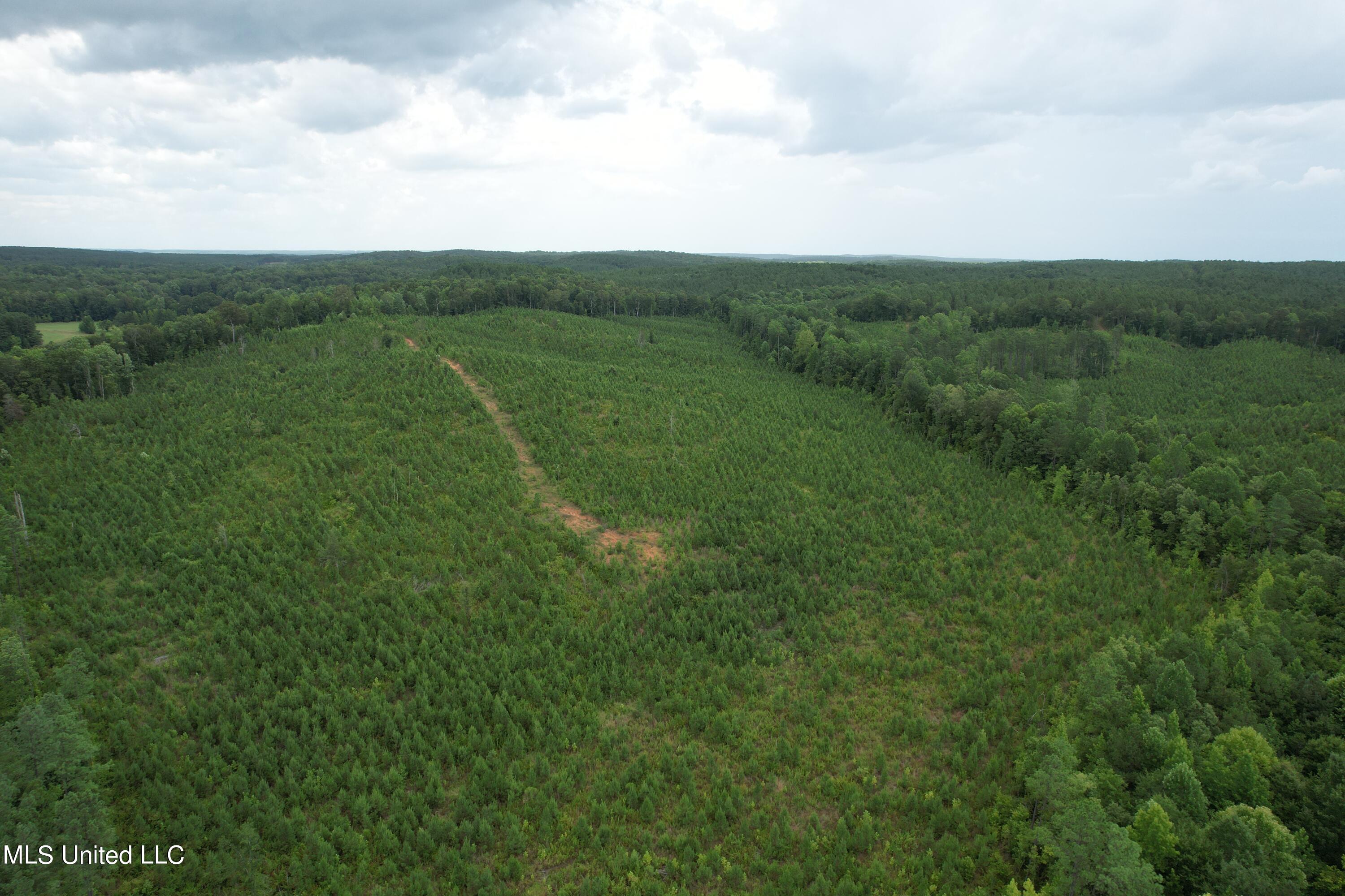 County Road 481 Property Photo 1