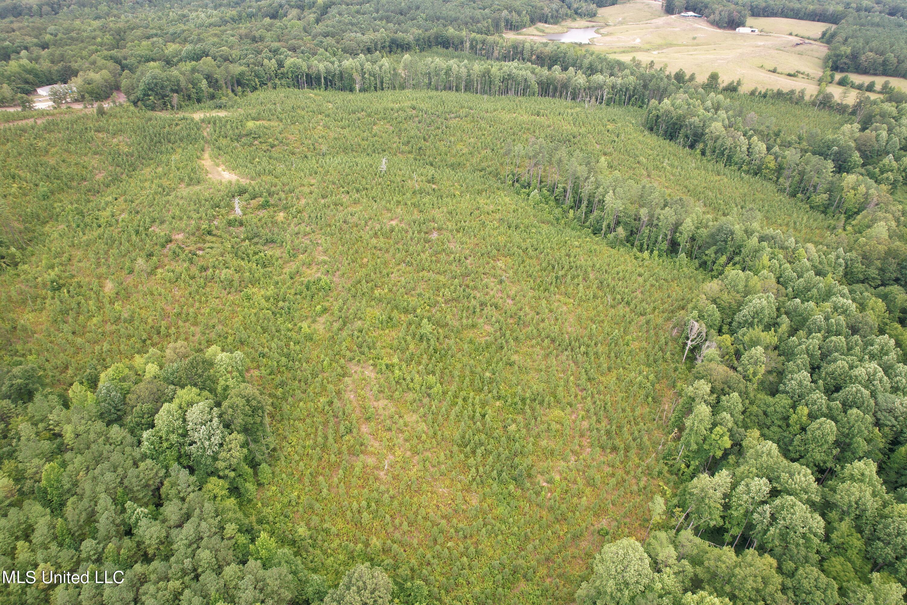 County Road 481 Property Photo 3