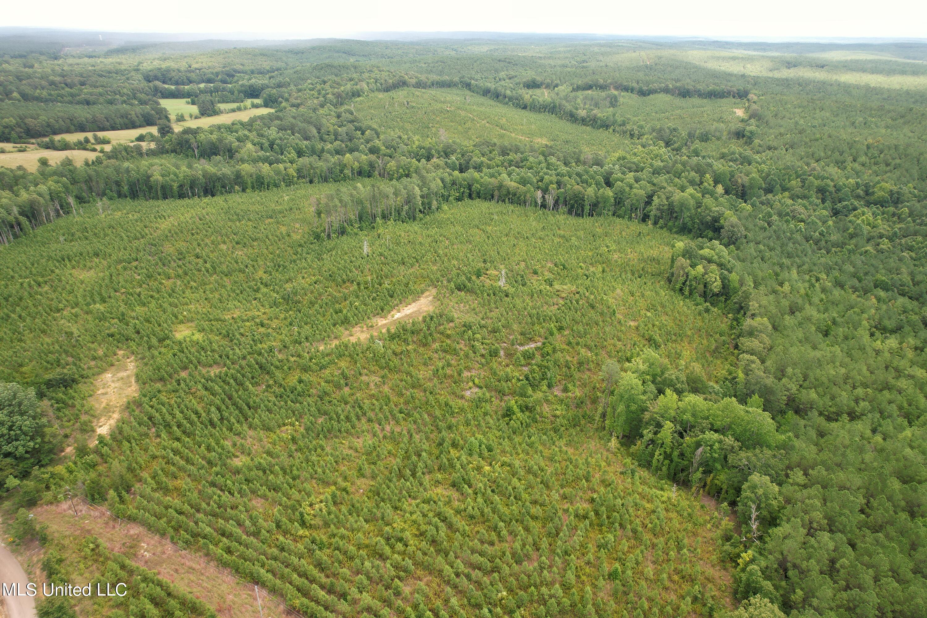 County Road 481 Property Photo 4