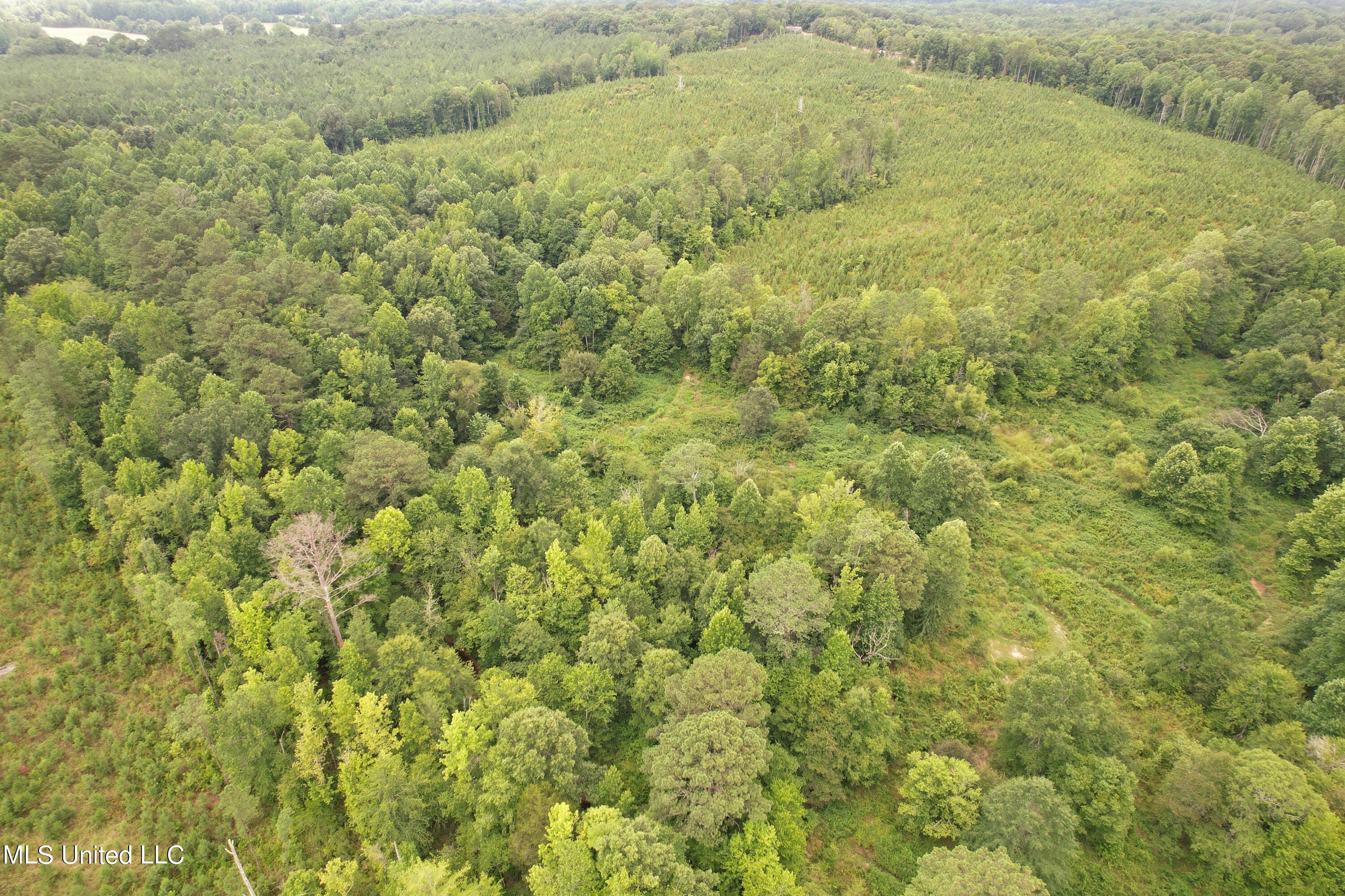 County Road 428 Property Photo 1
