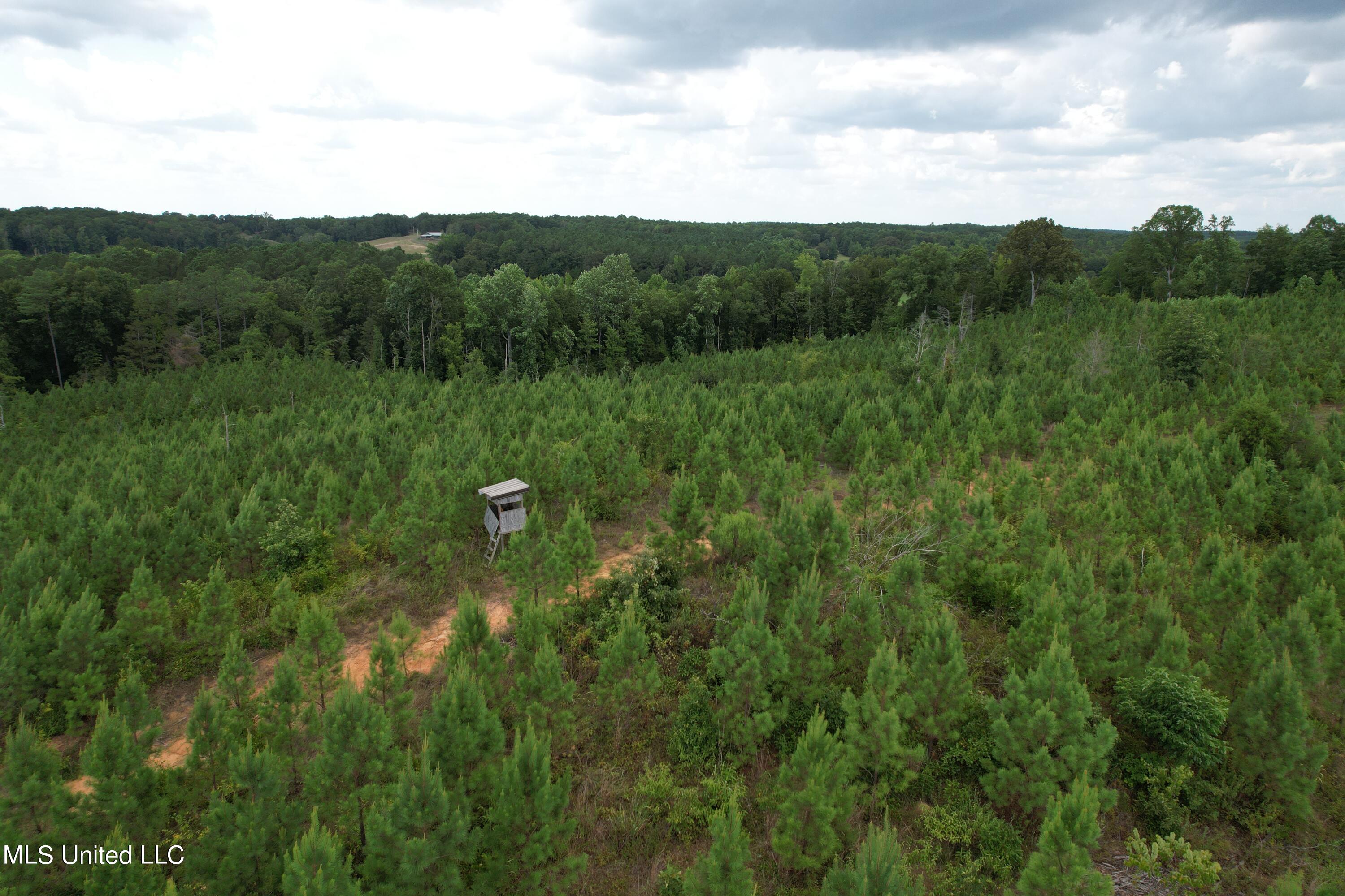 County Road 428 Property Photo 2