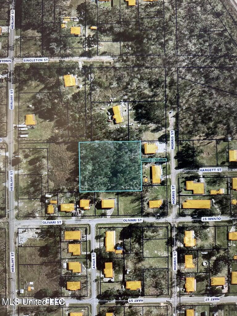 425 Herlihy Street Property Photo 1