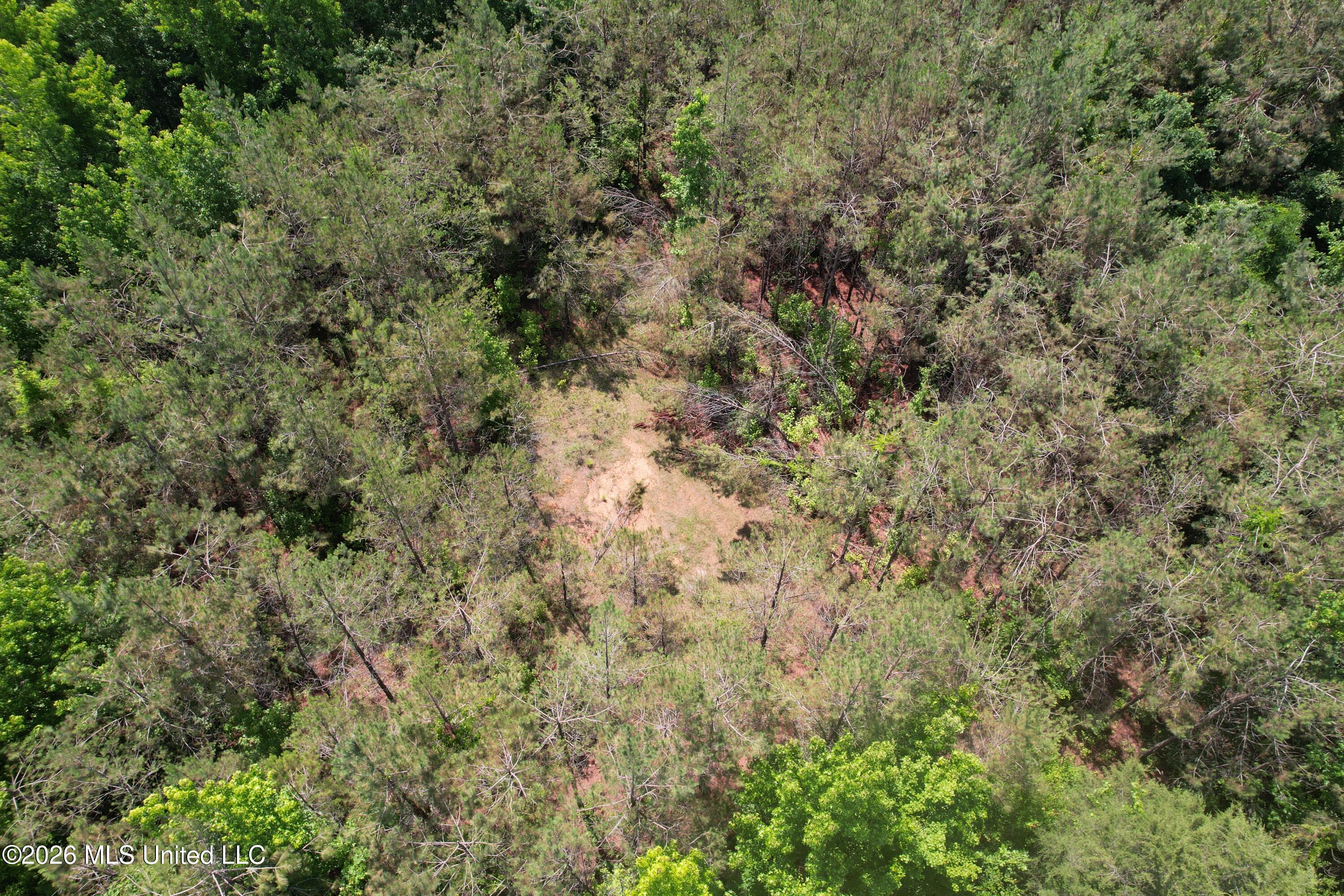 West Boulevard Property Photo 1