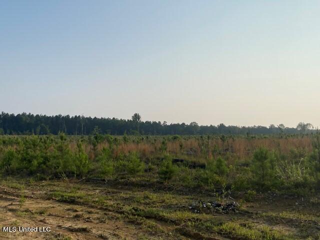 Mink Branch Road Property Photo 12
