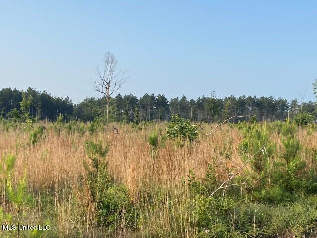 Mink Branch Road Property Photo 15