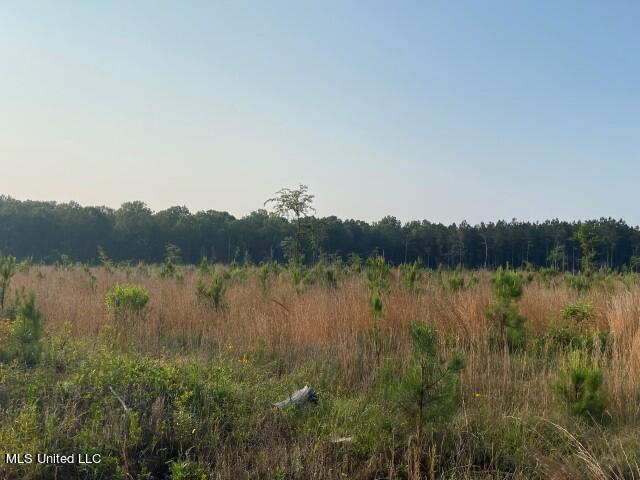 Mink Branch Road Property Photo 16