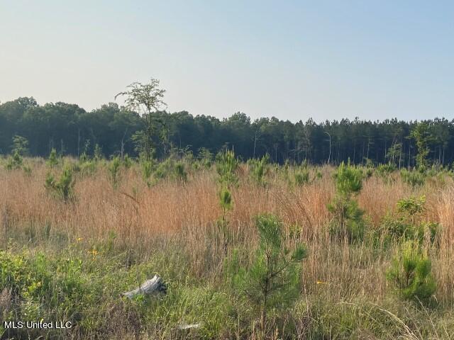 Mink Branch Road Property Photo 17