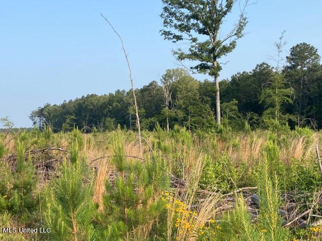 Mink Branch Road Property Photo 18