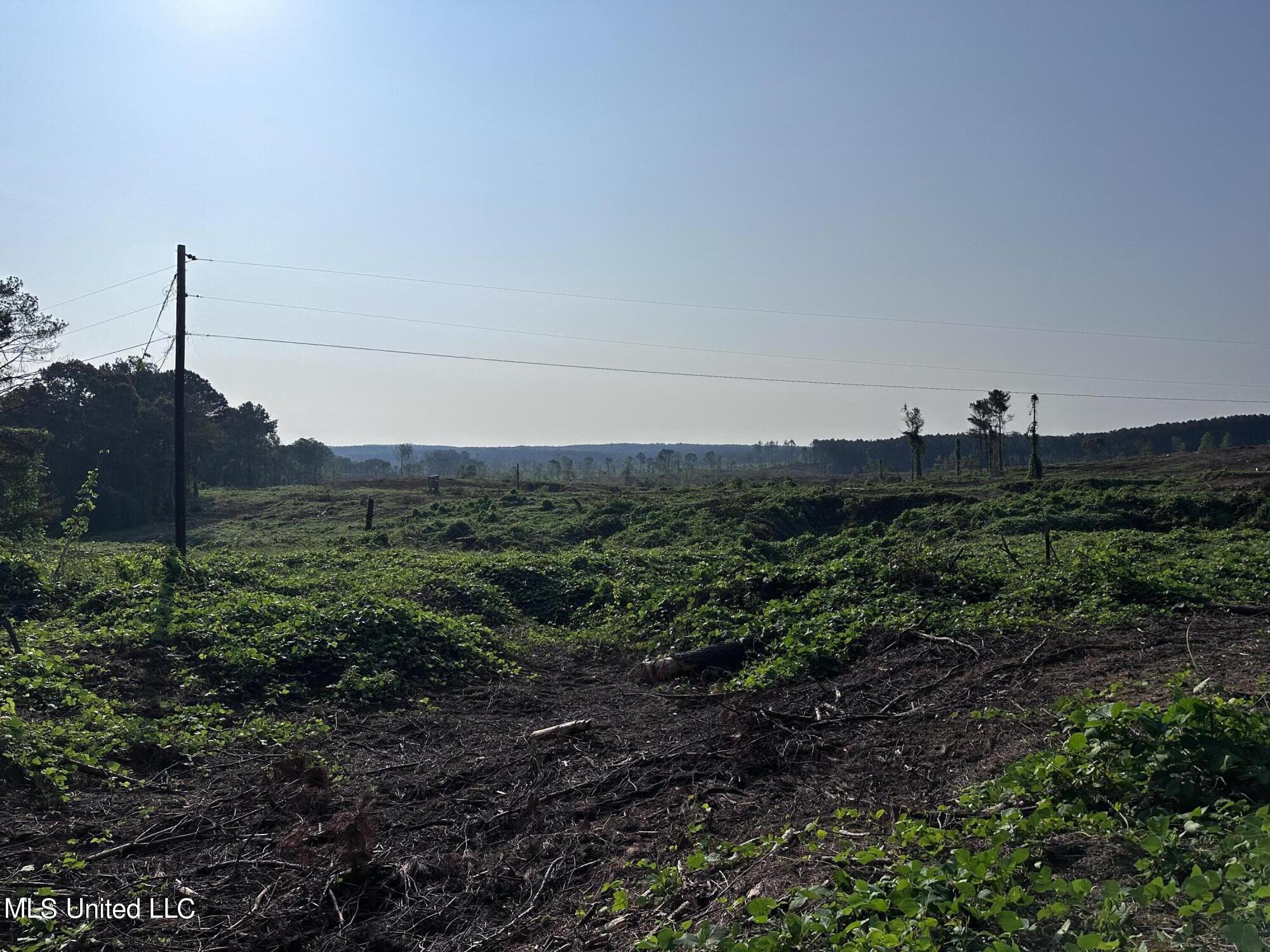 Co Rd 309 Property Photo 6