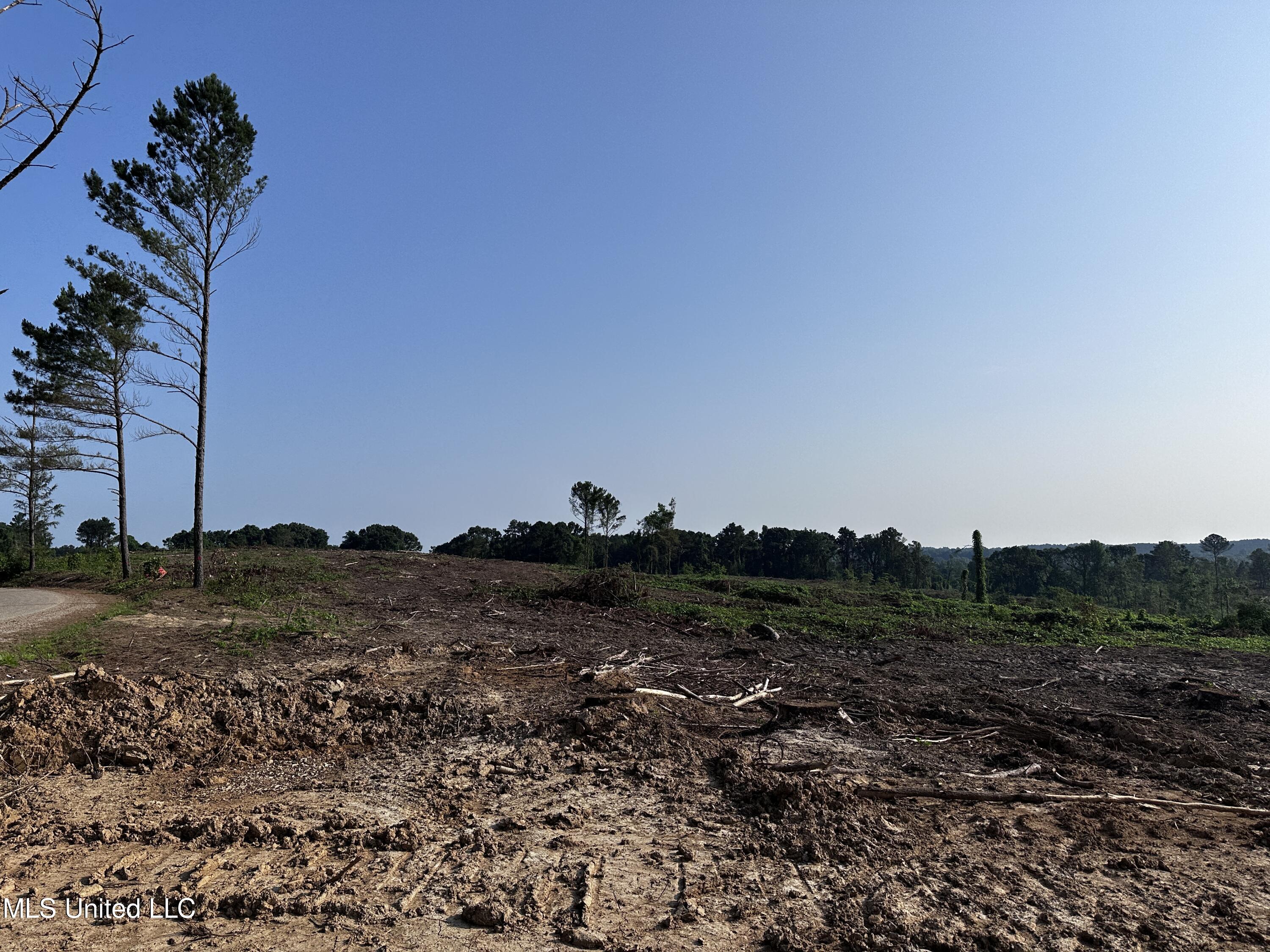 Co Rd 309 Property Photo 8