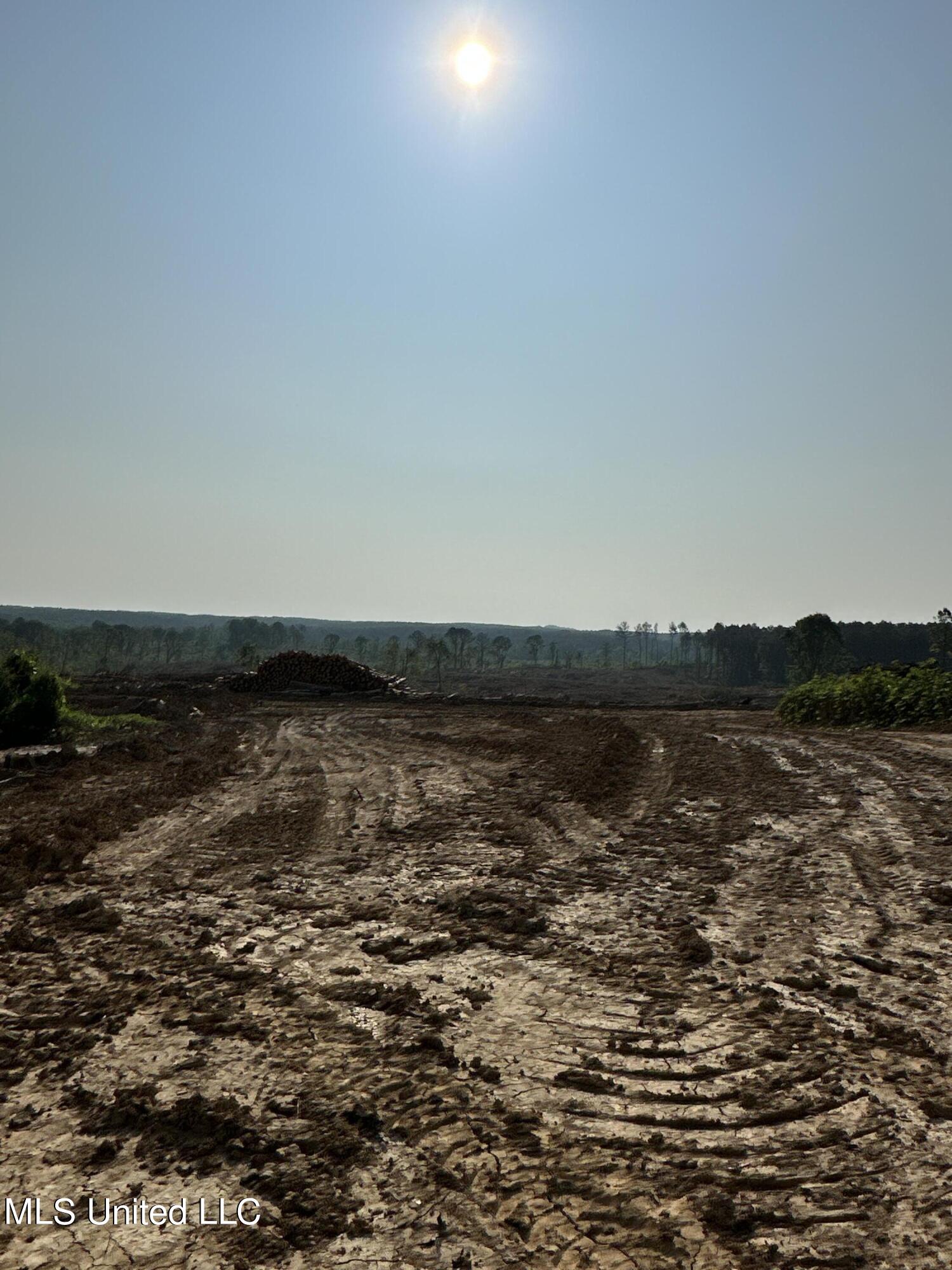 Co Rd 309 Property Photo 12