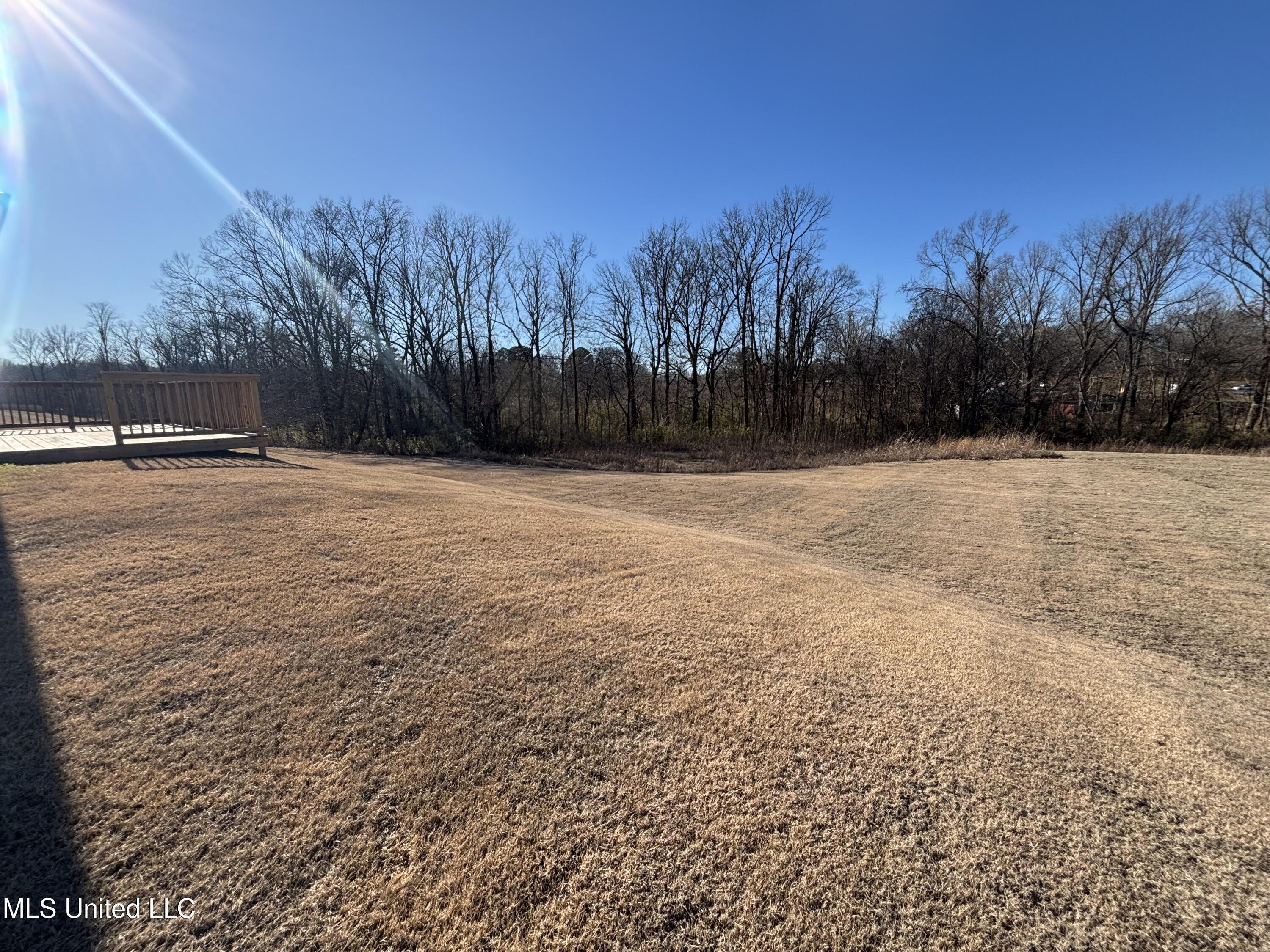 7807 Mary Mccoy Drive Property Photo 15