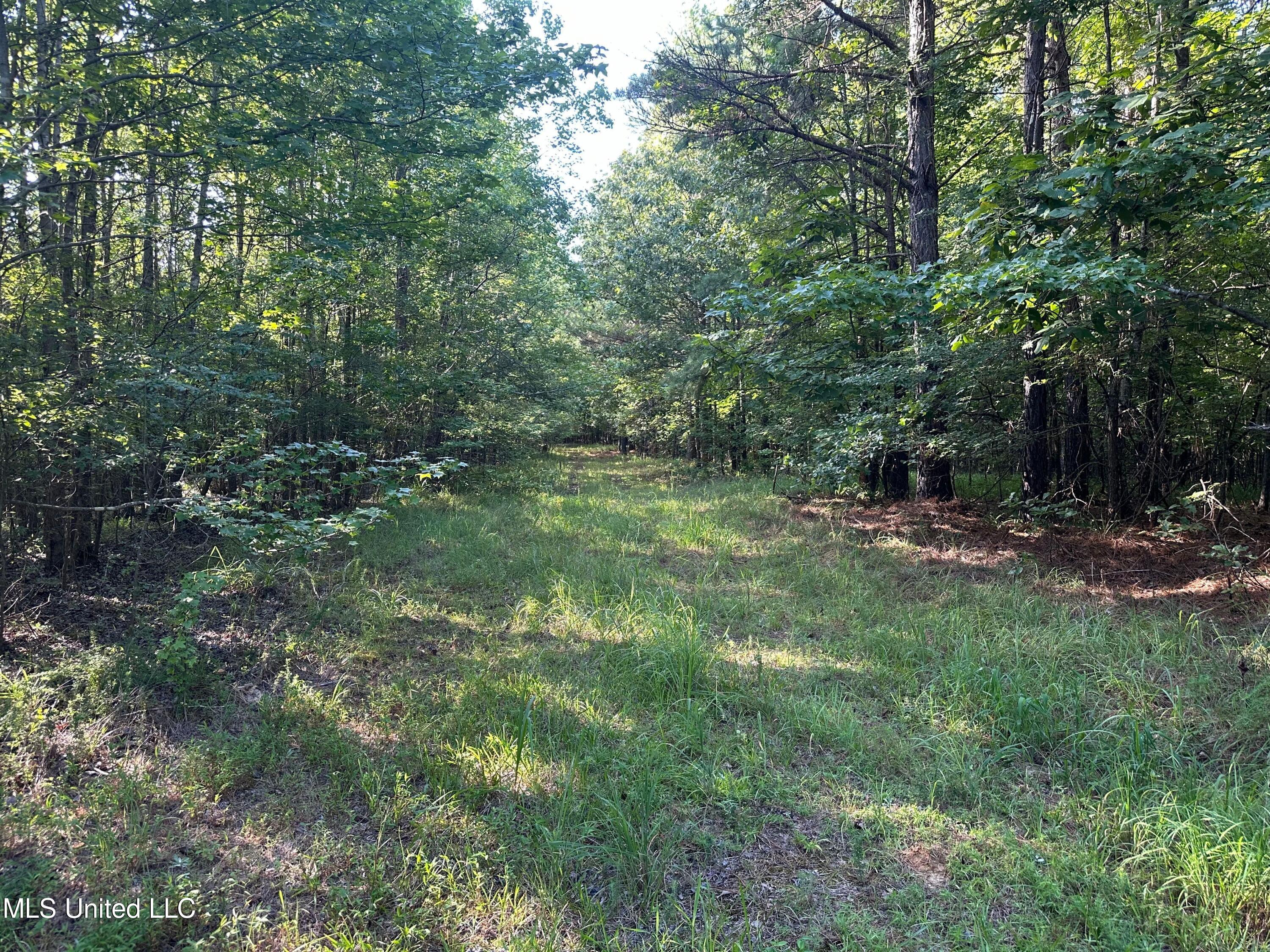 Hwy 32 Property Photo 3