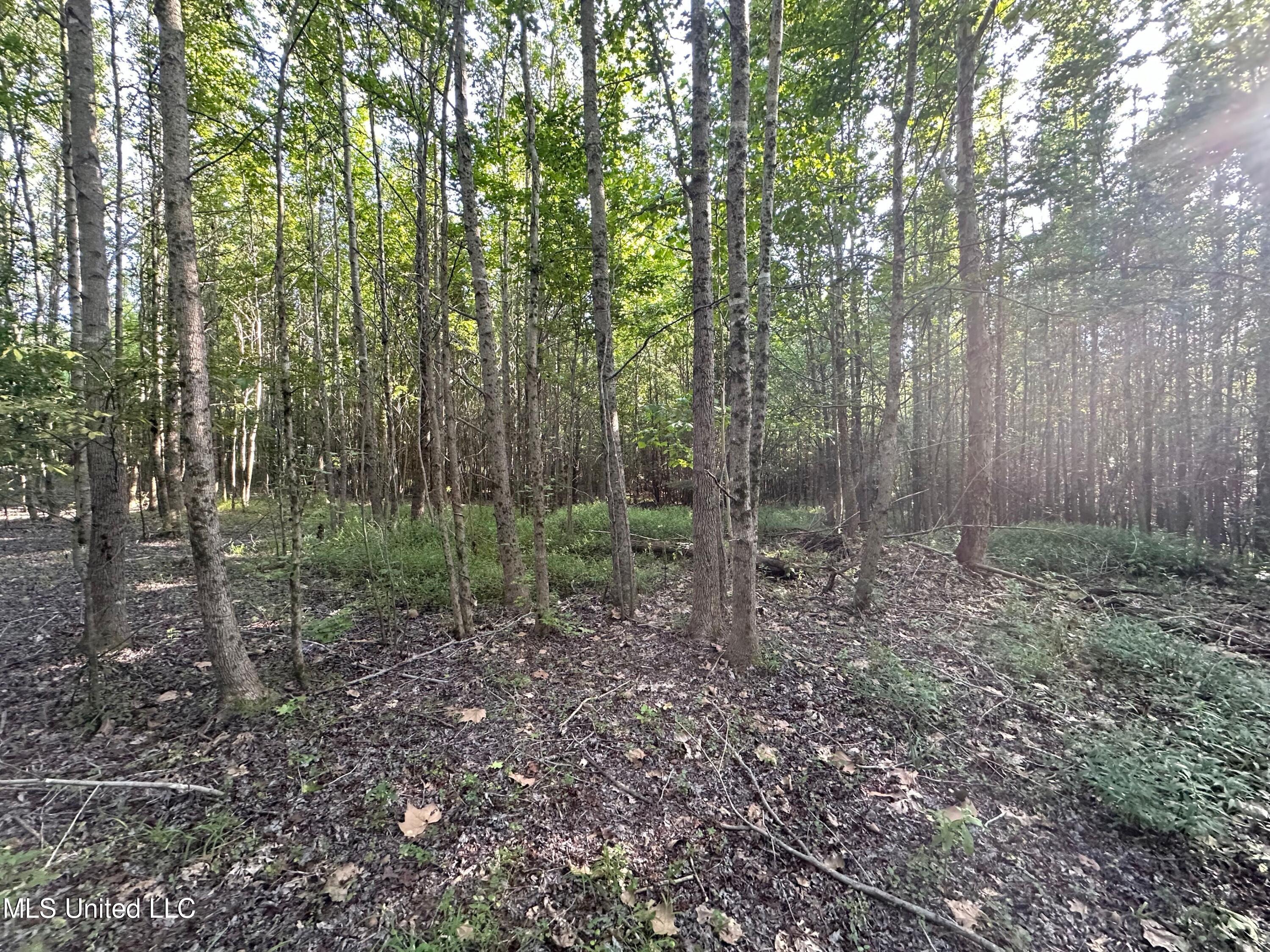 Hwy 32 Property Photo 4