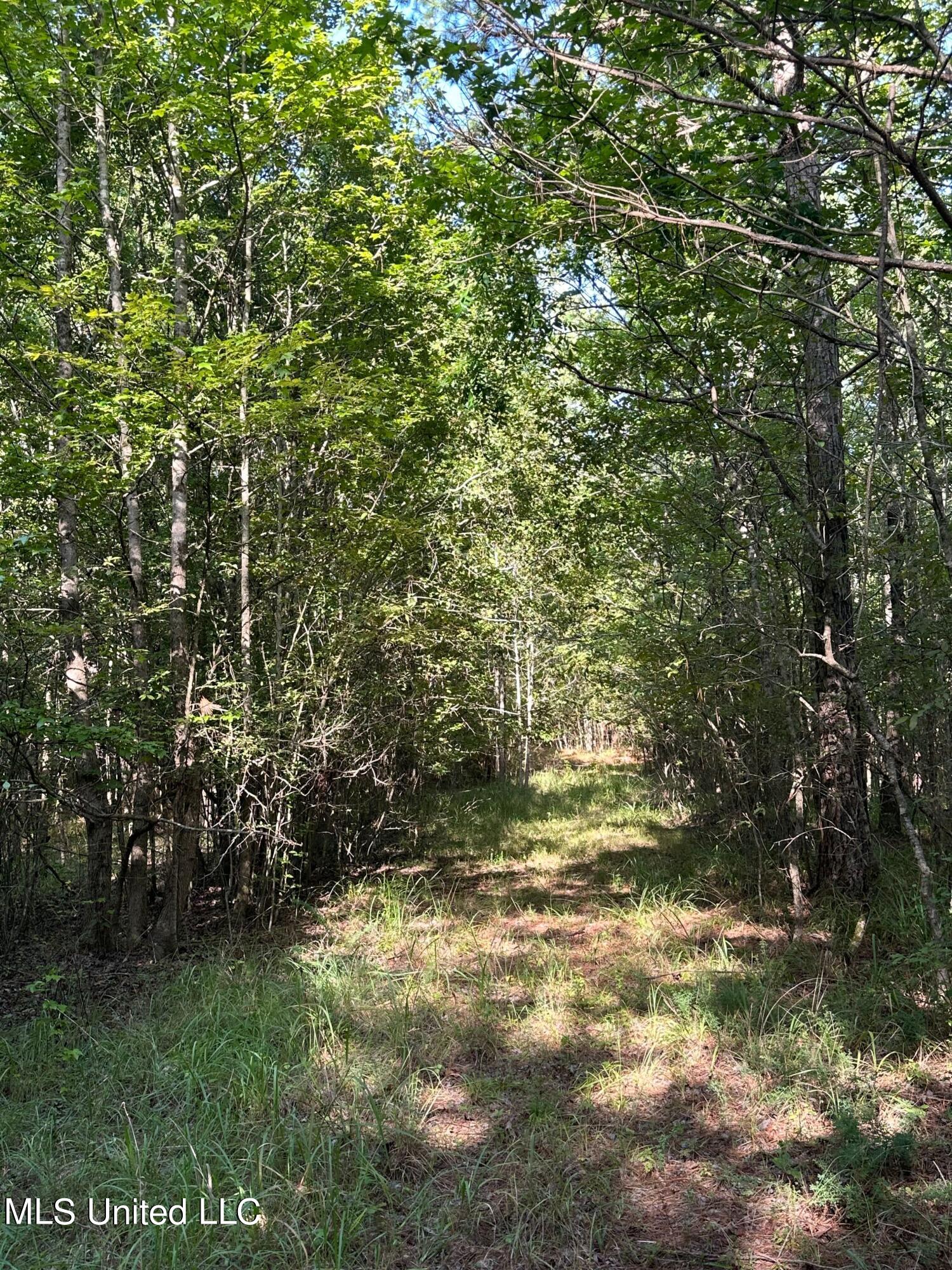 Hwy 32 Property Photo 5