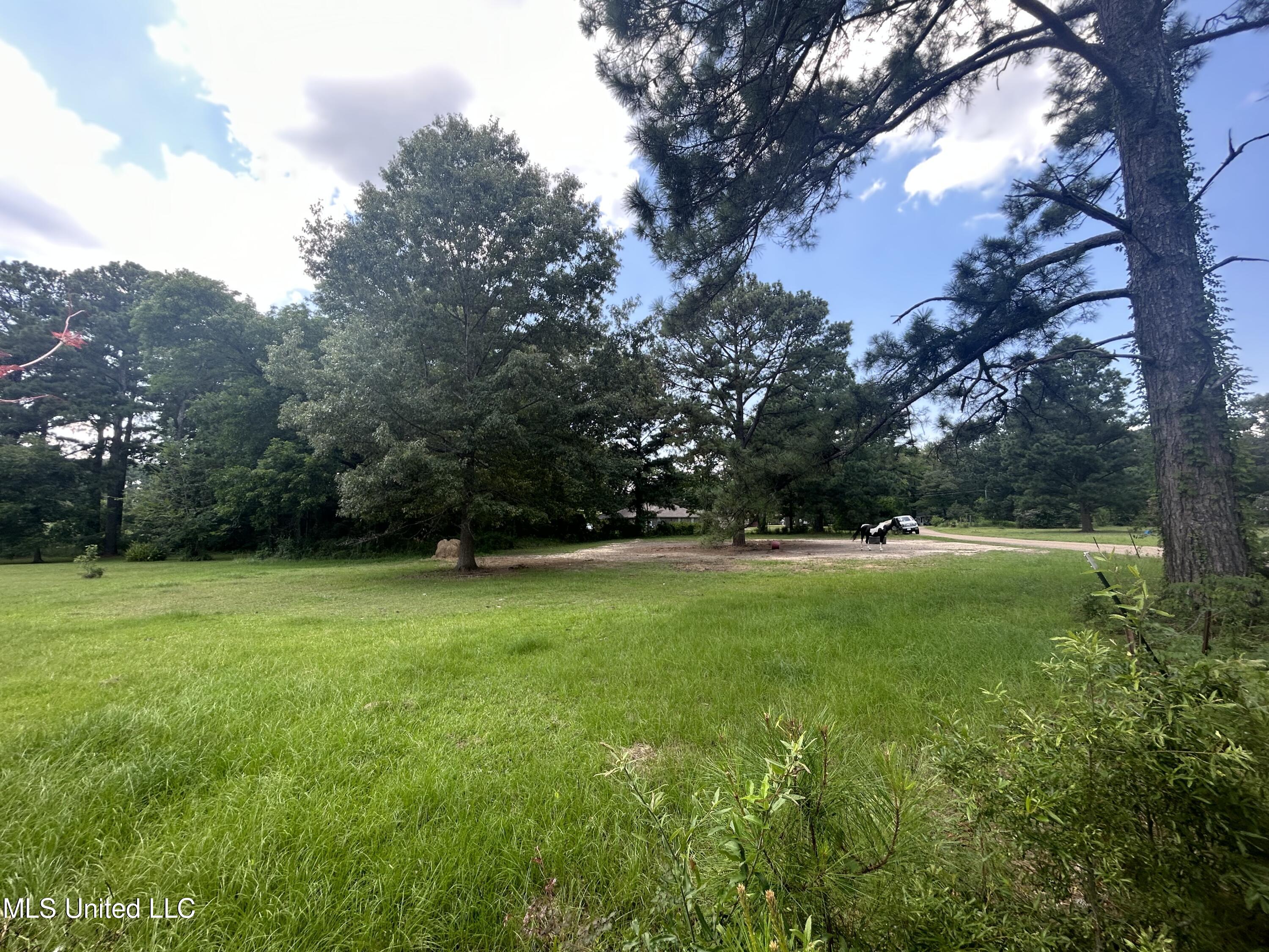 Burnett Drive Property Photo 3